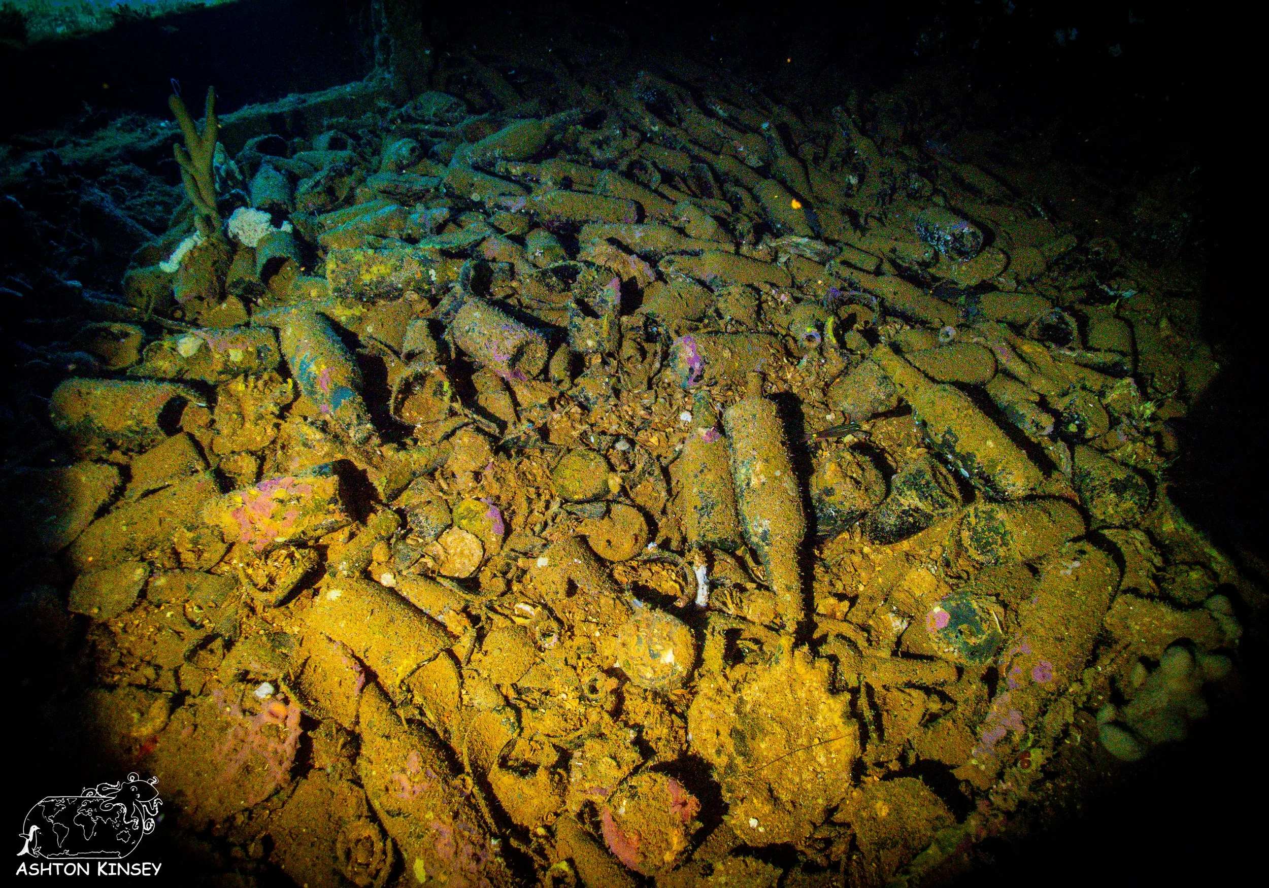 Fujikawa Maru-23.jpg