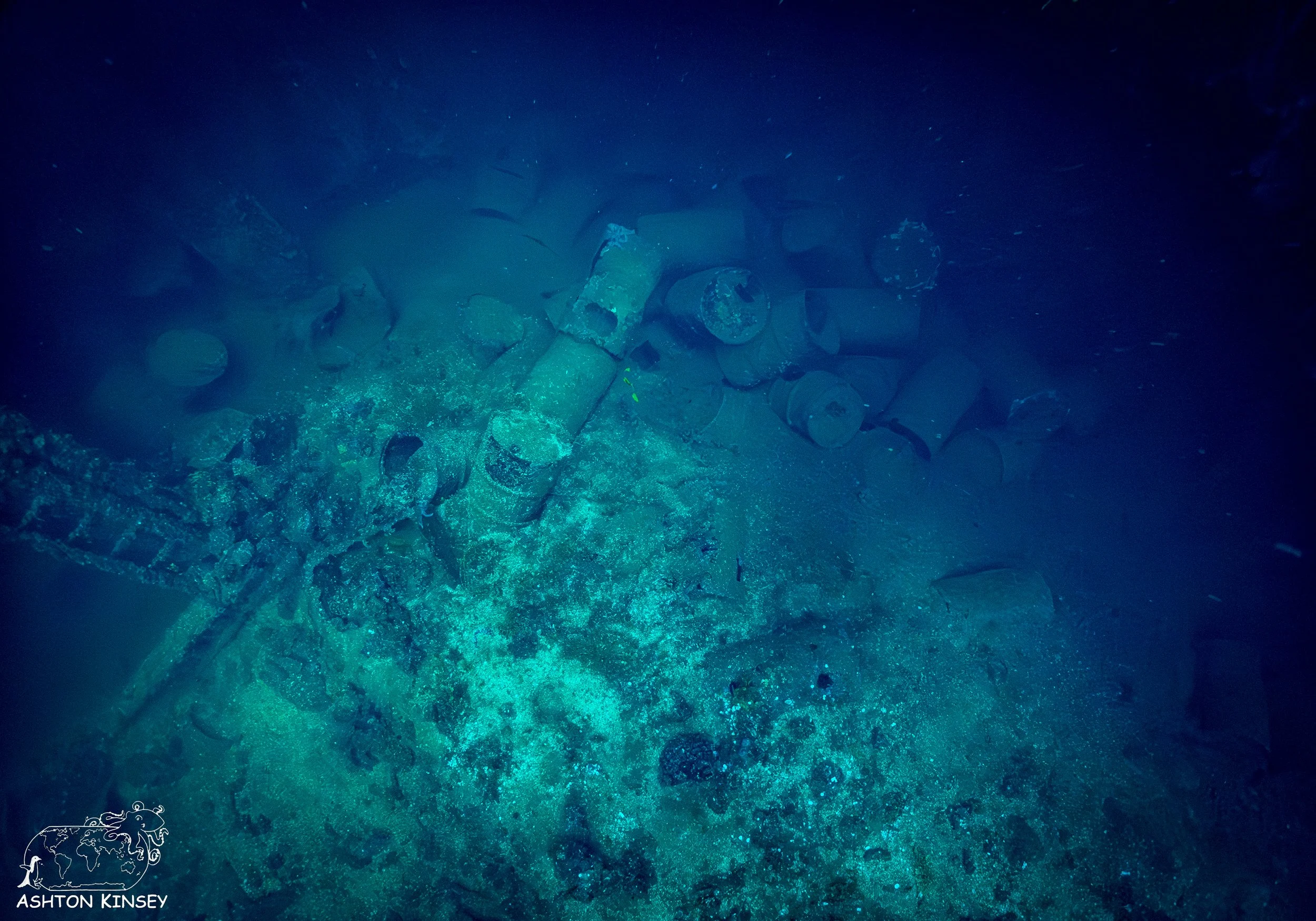 Fujikawa Maru-25.jpg