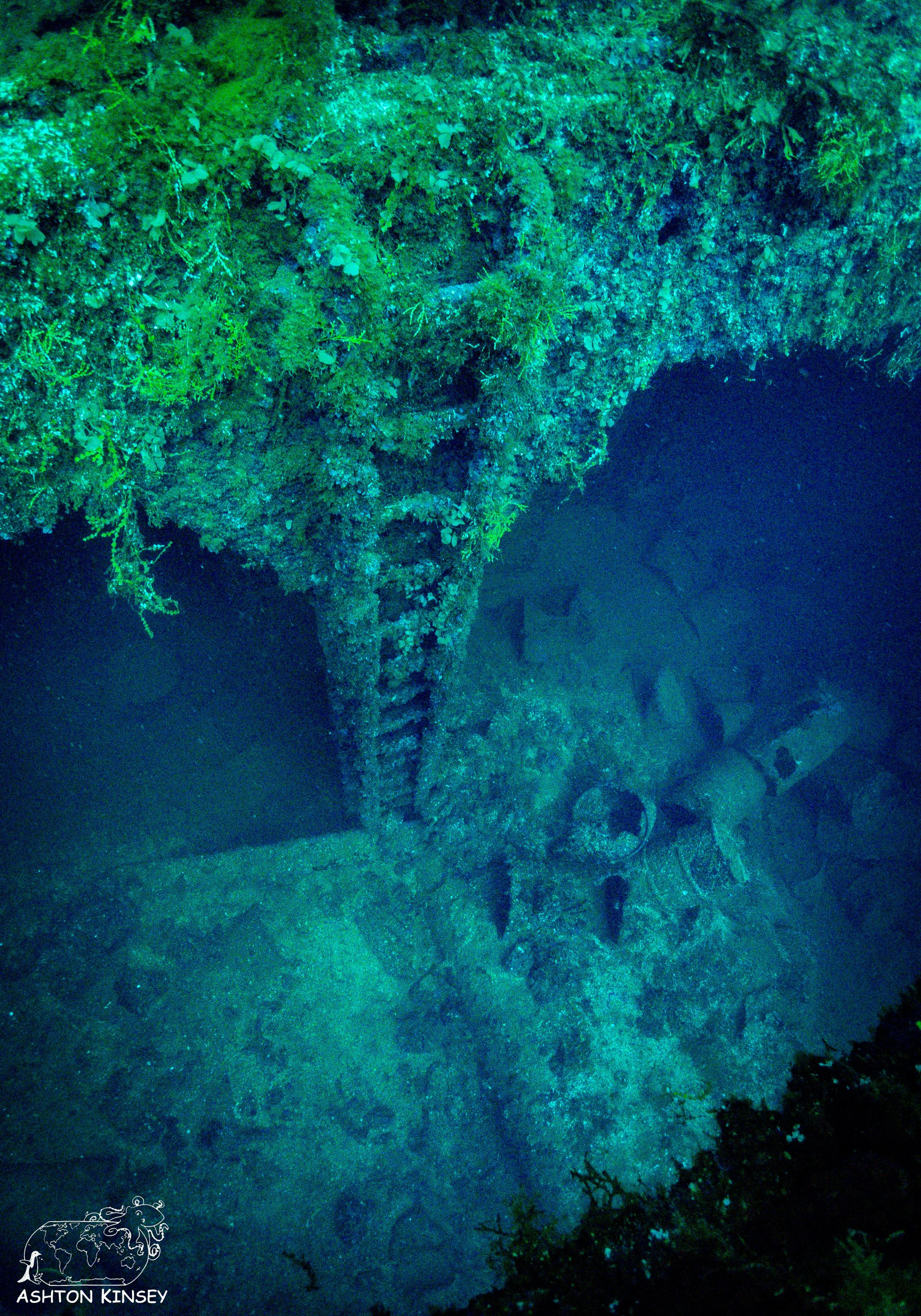 Fujikawa Maru-26.jpg