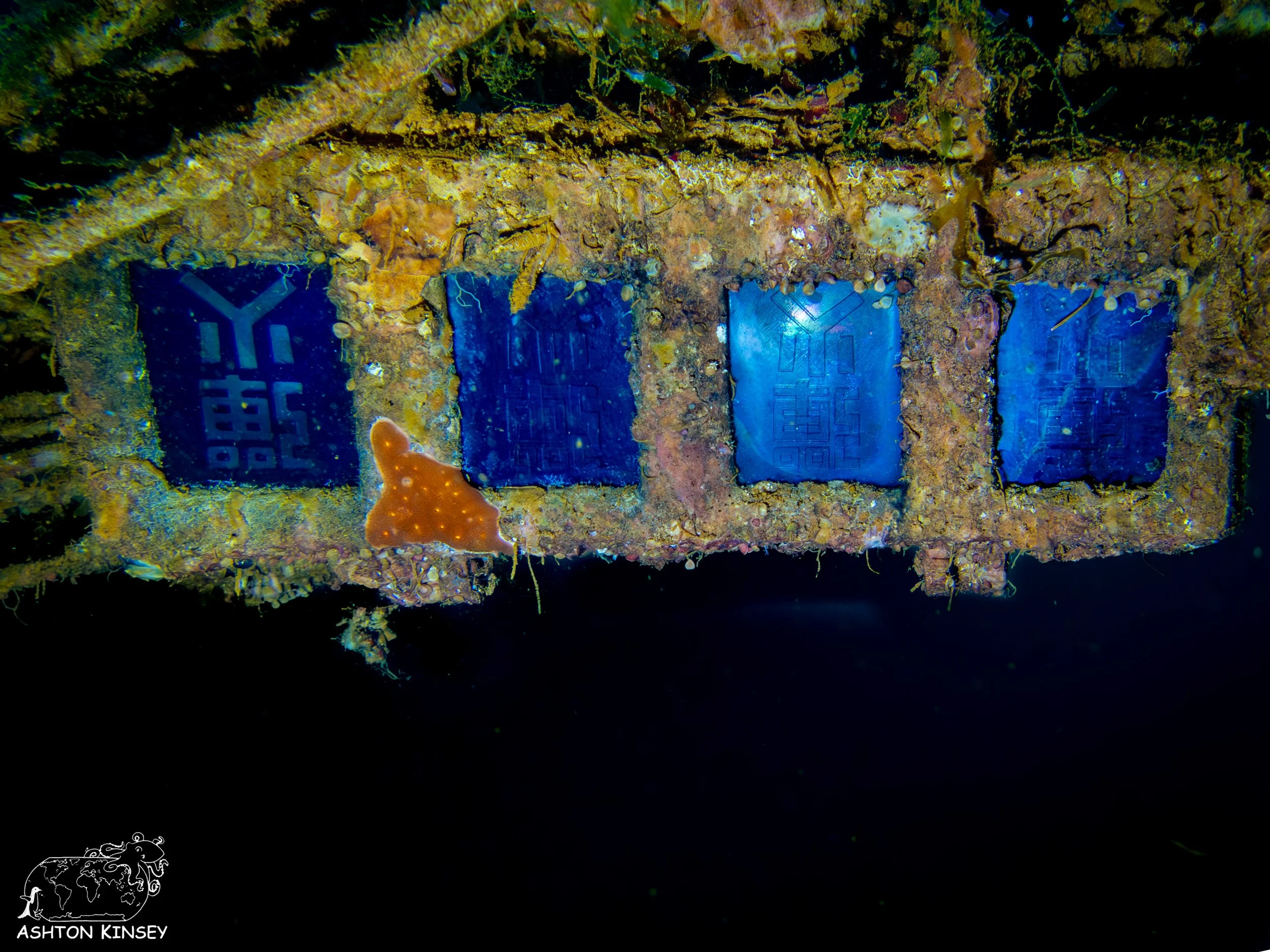 Fujikawa Maru-29.jpg