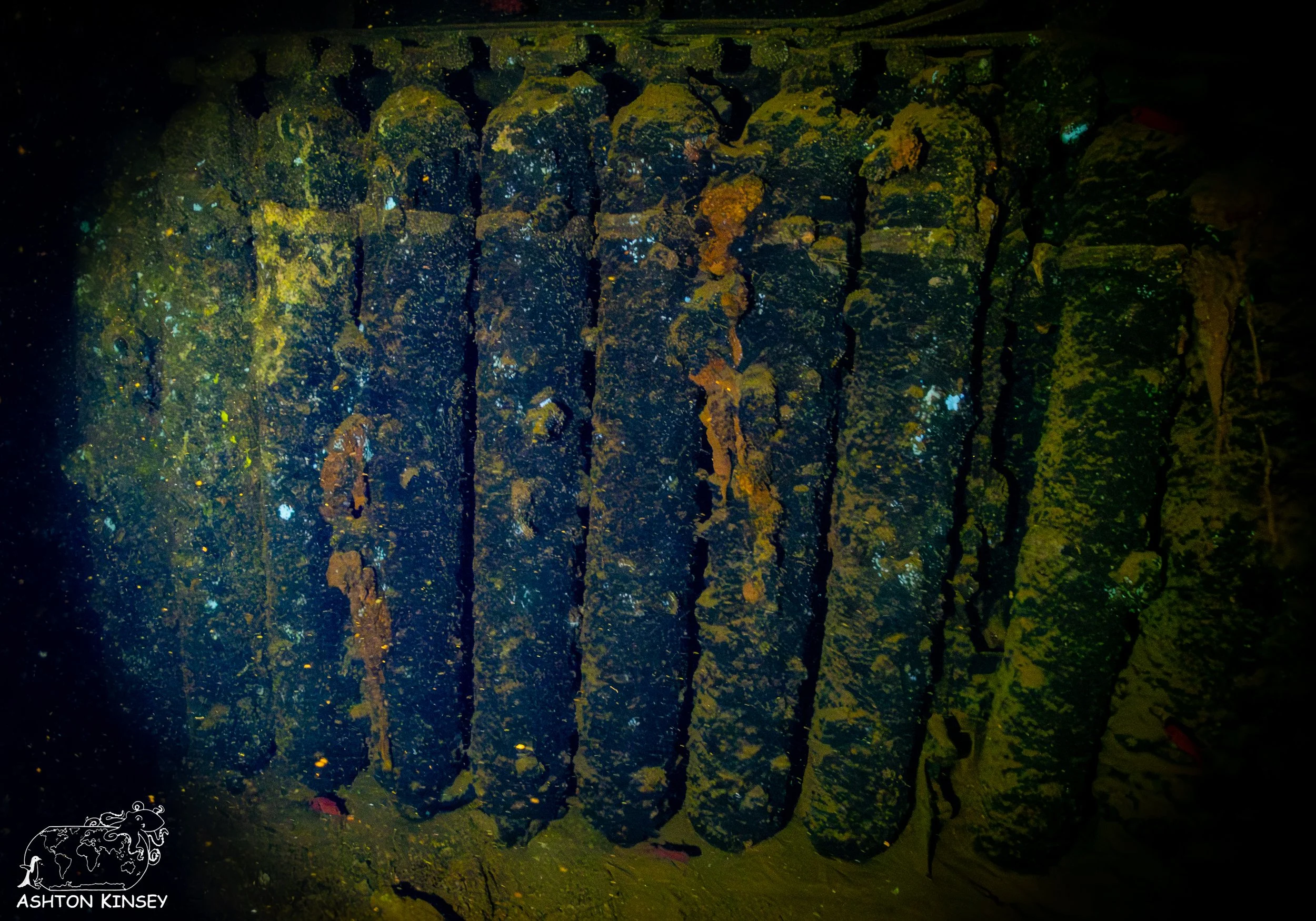 Fujikawa Maru-32.jpg