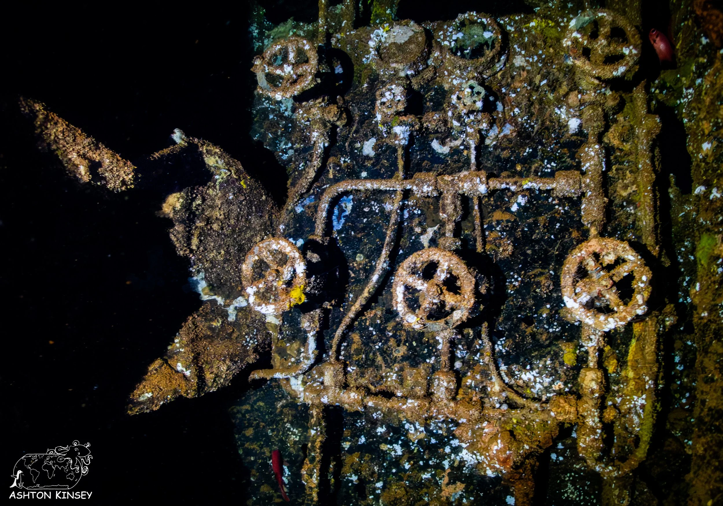 Fujikawa Maru-33.jpg