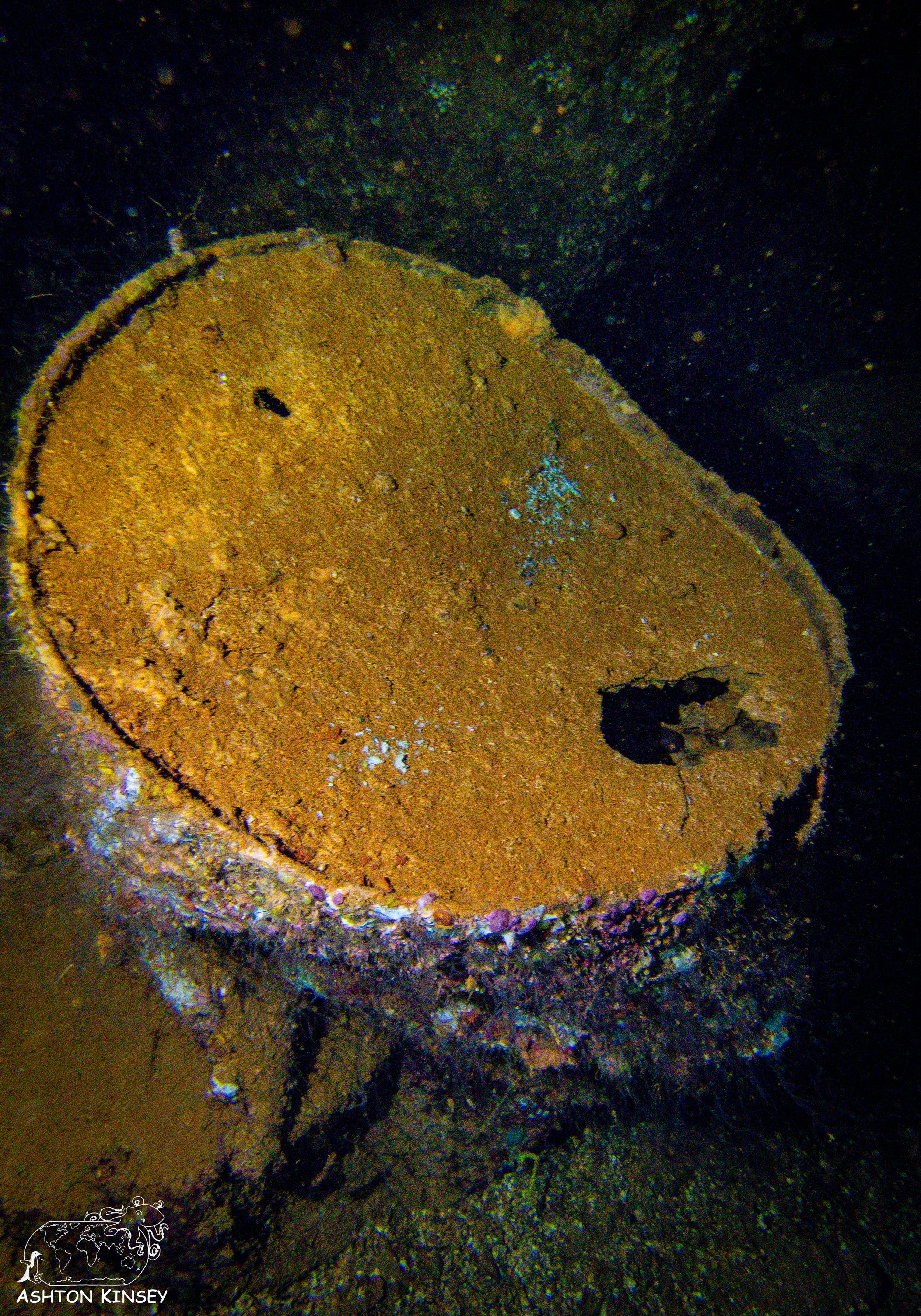 Fujikawa Maru-30.jpg