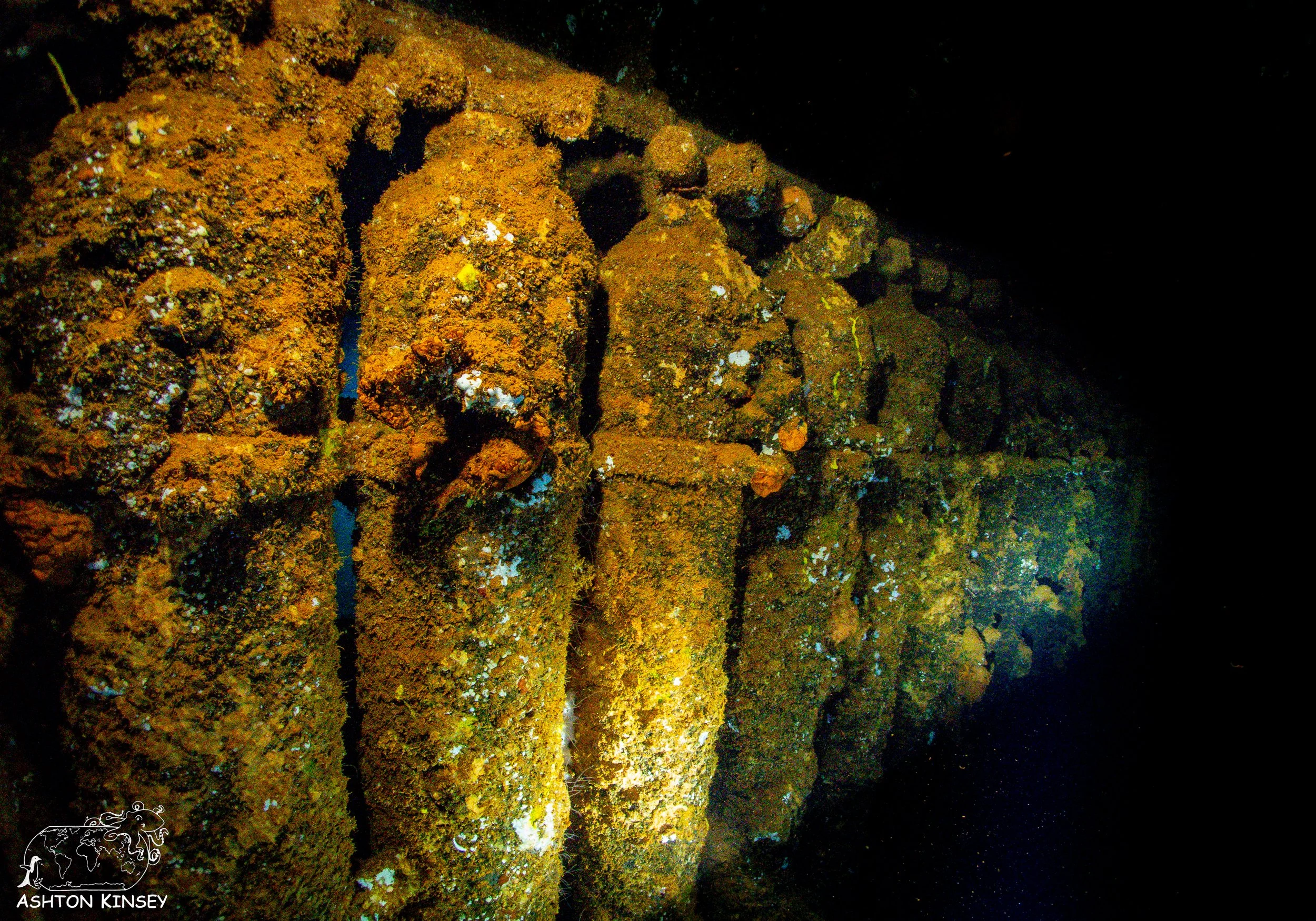 Fujikawa Maru-34.jpg