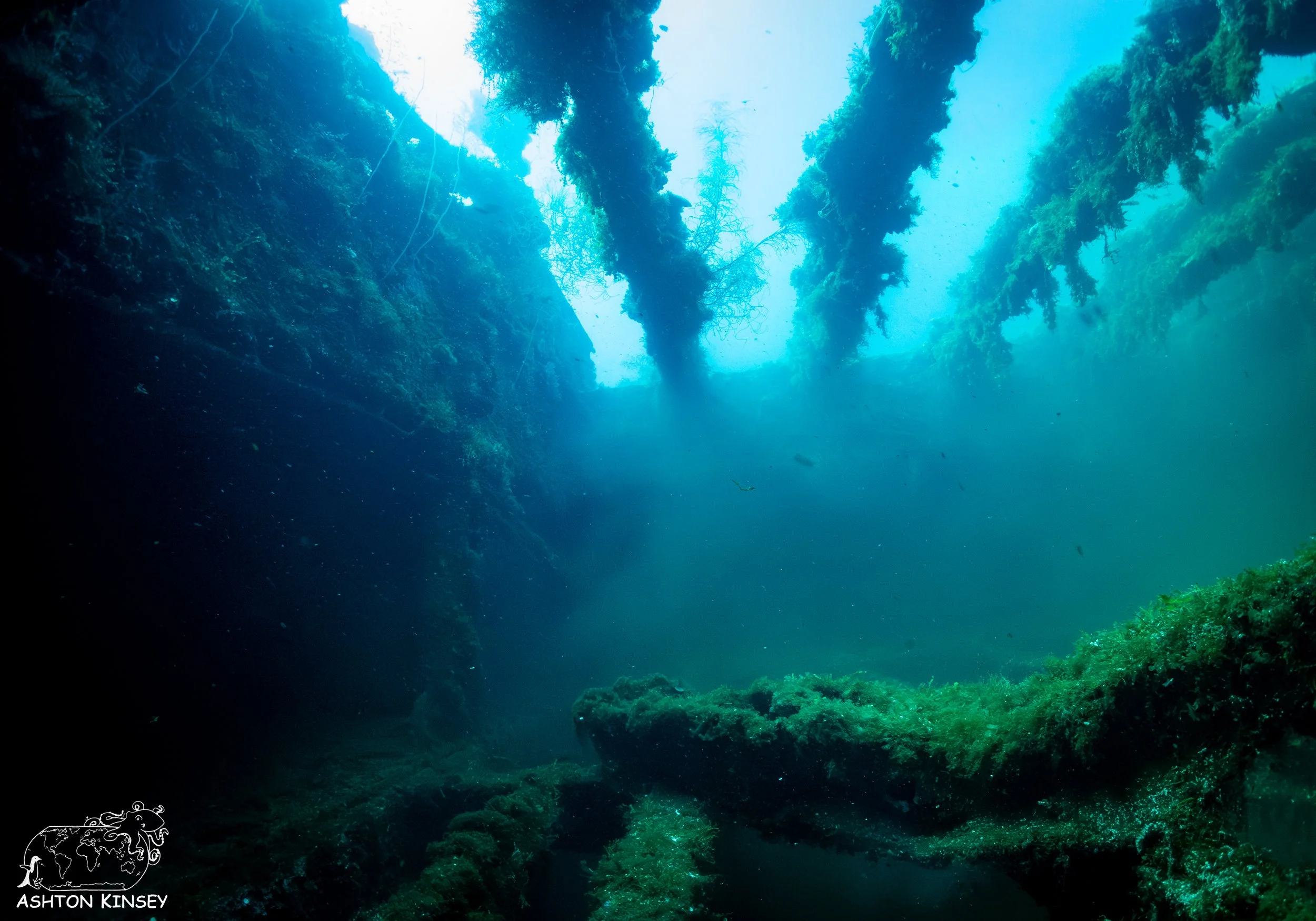 Fujikawa Maru-36.jpg