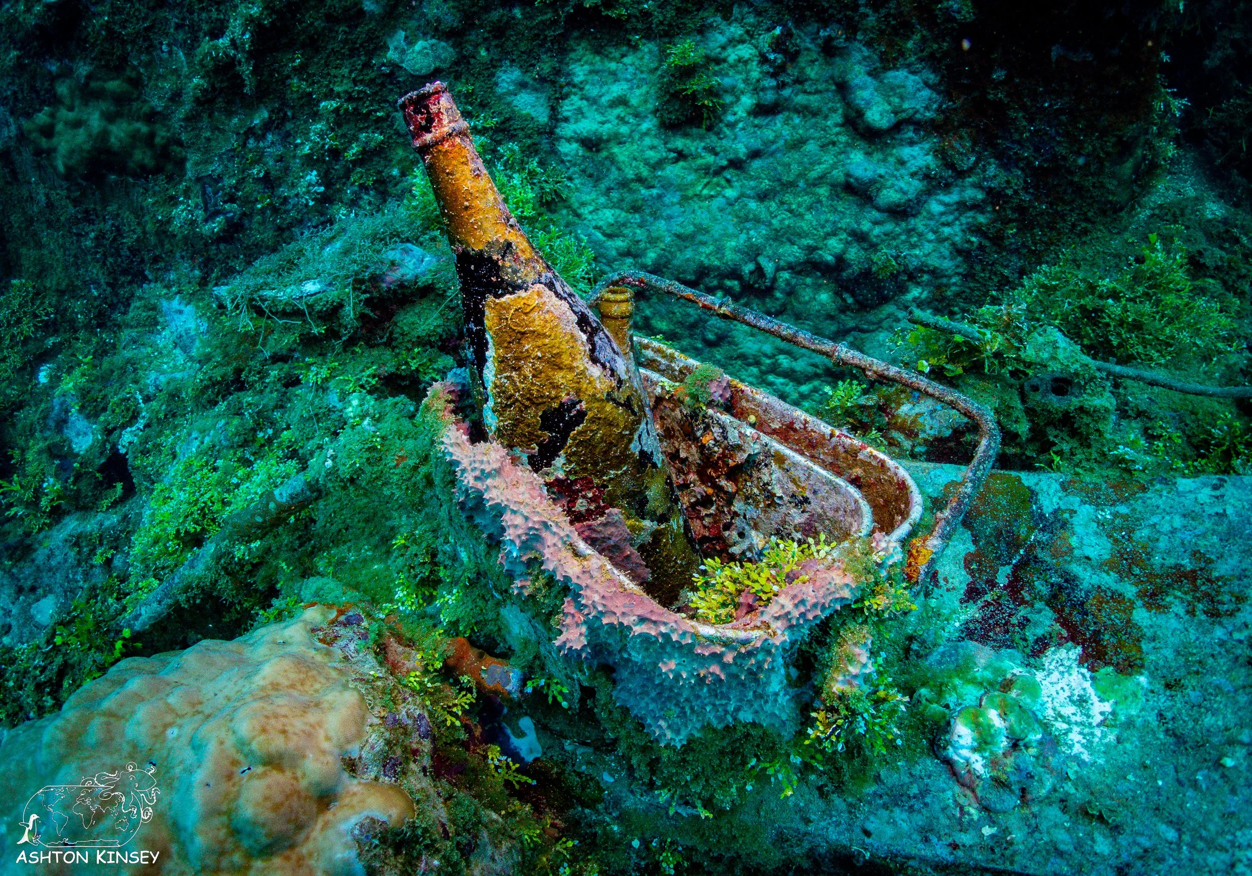 Fujikawa Maru-37.jpg