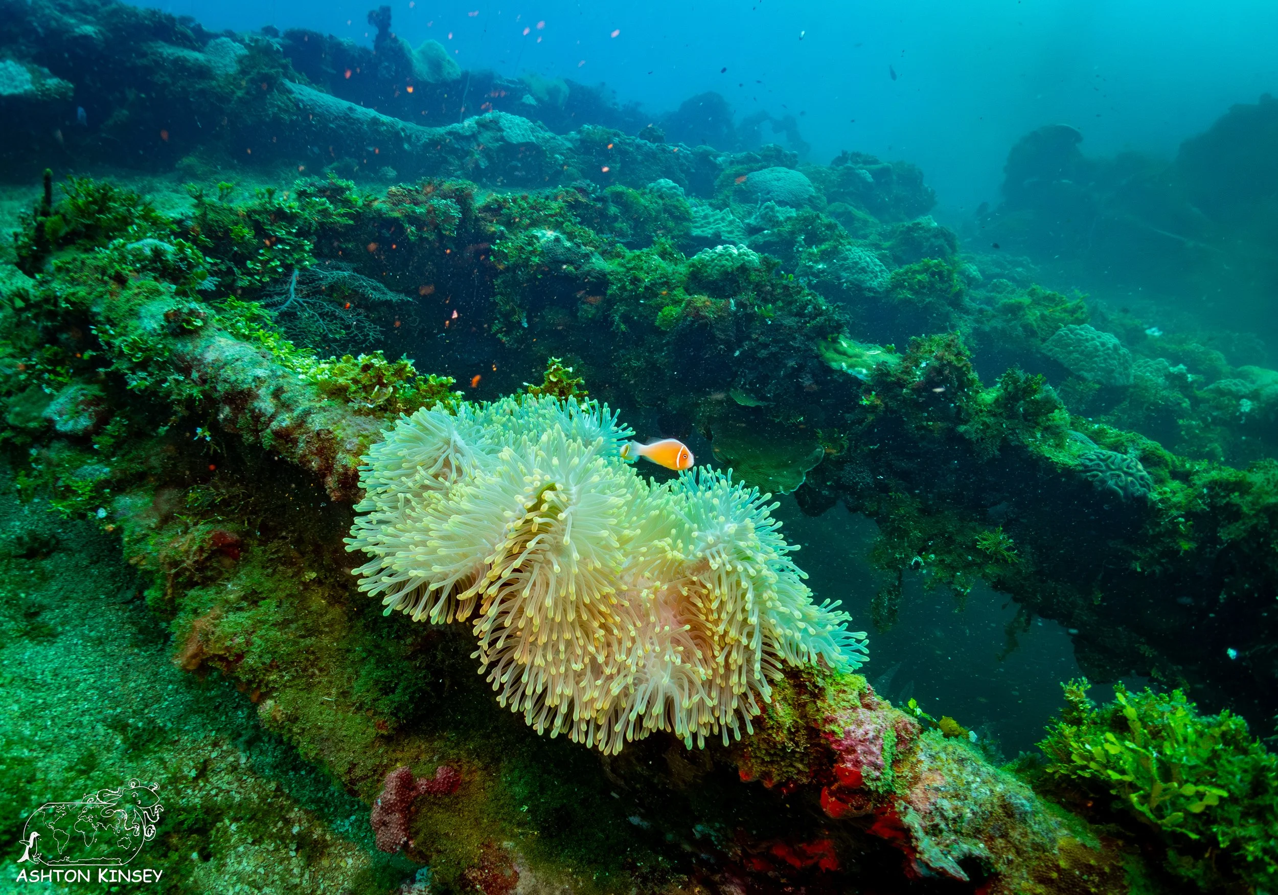 Fujikawa Maru-38.jpg