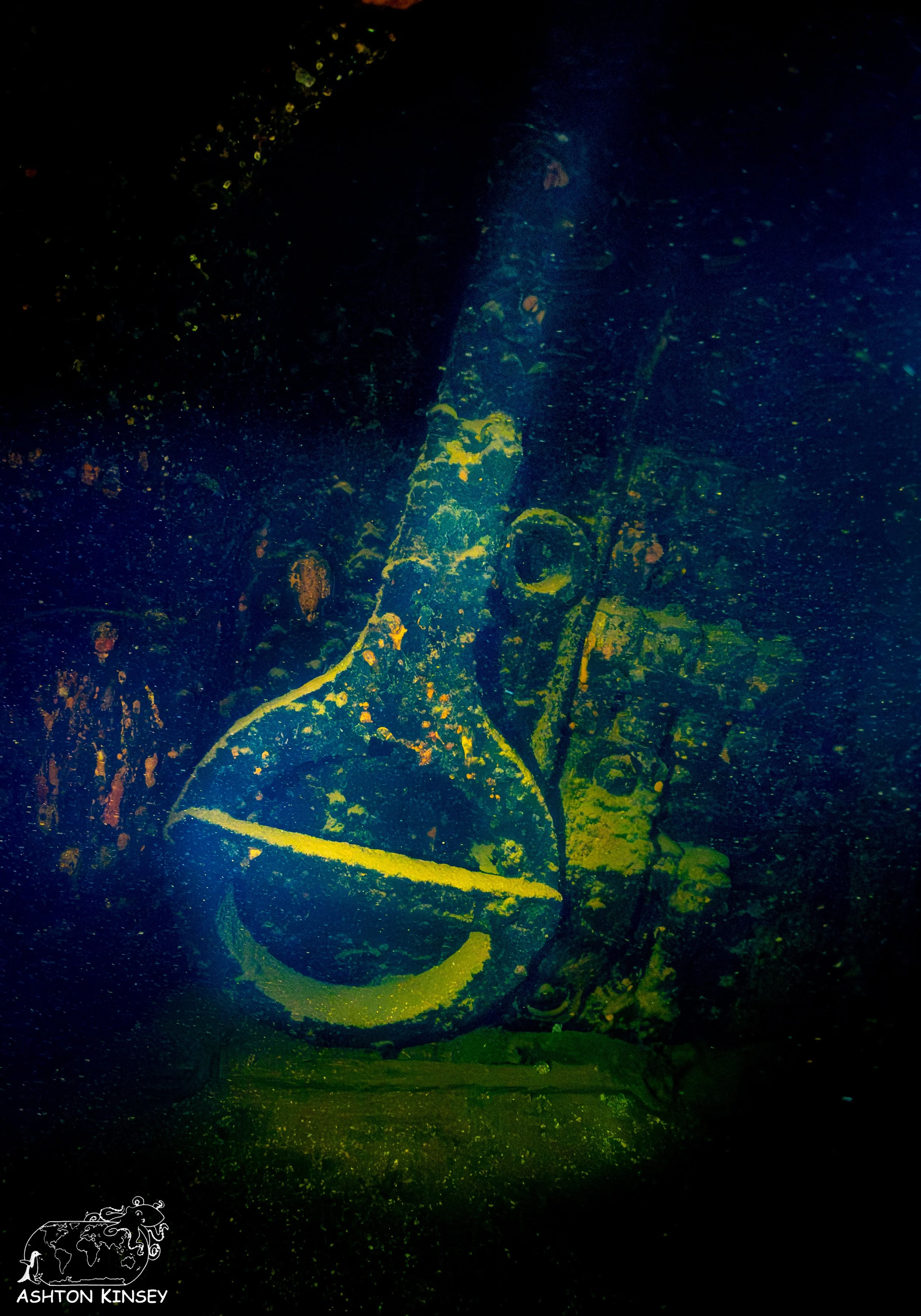 Fujikawa Maru-39.jpg