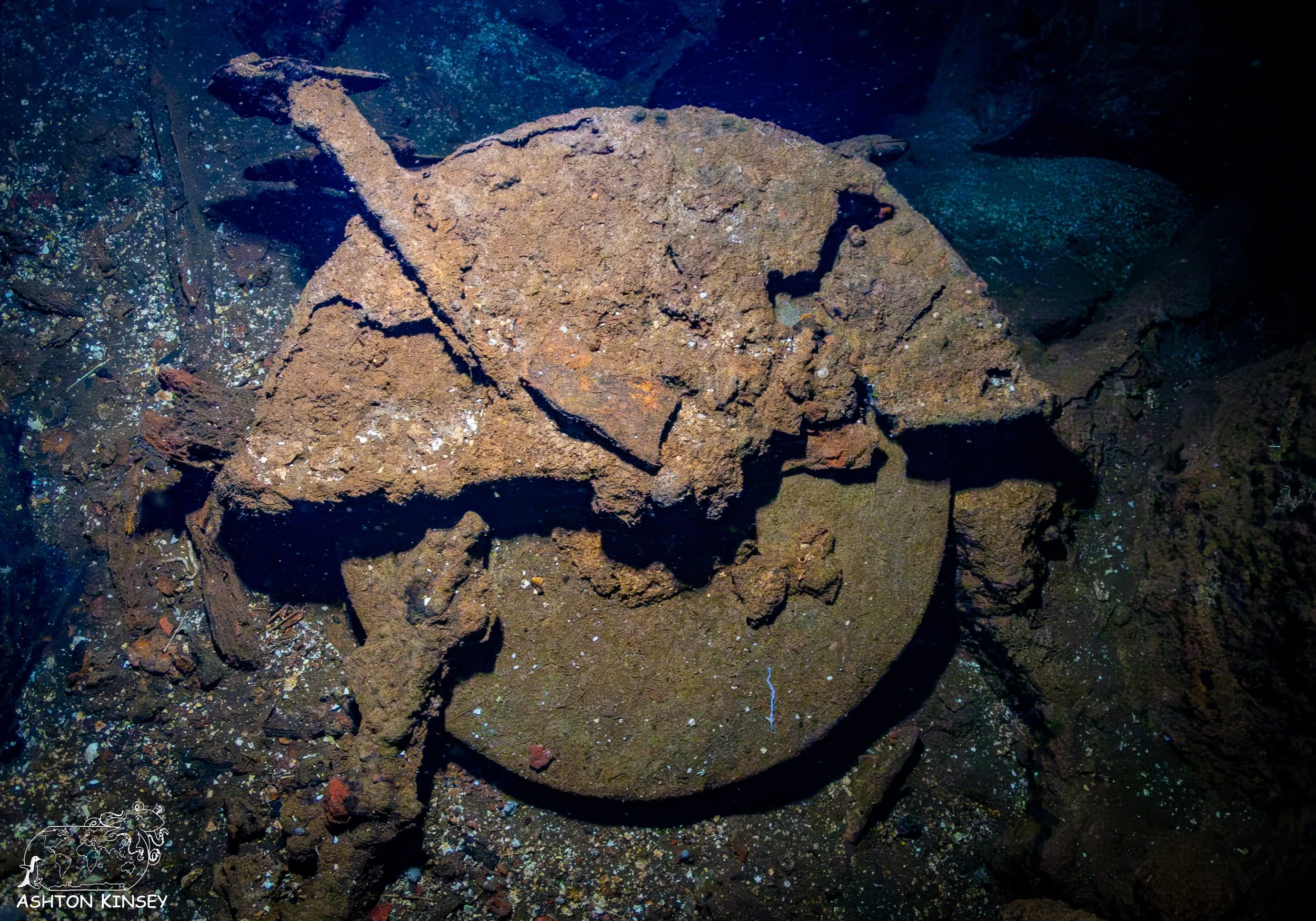 Fujikawa Maru-42.jpg