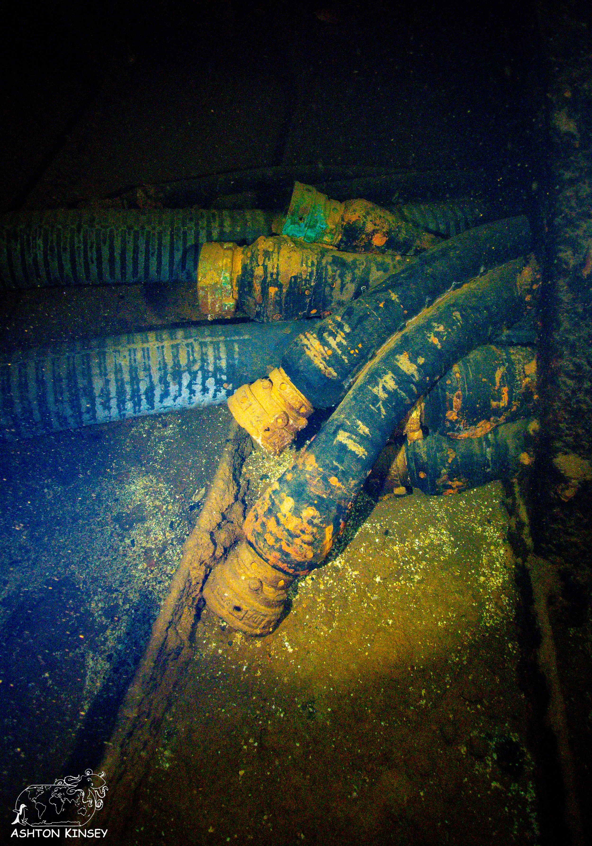 Fujikawa Maru-41.jpg