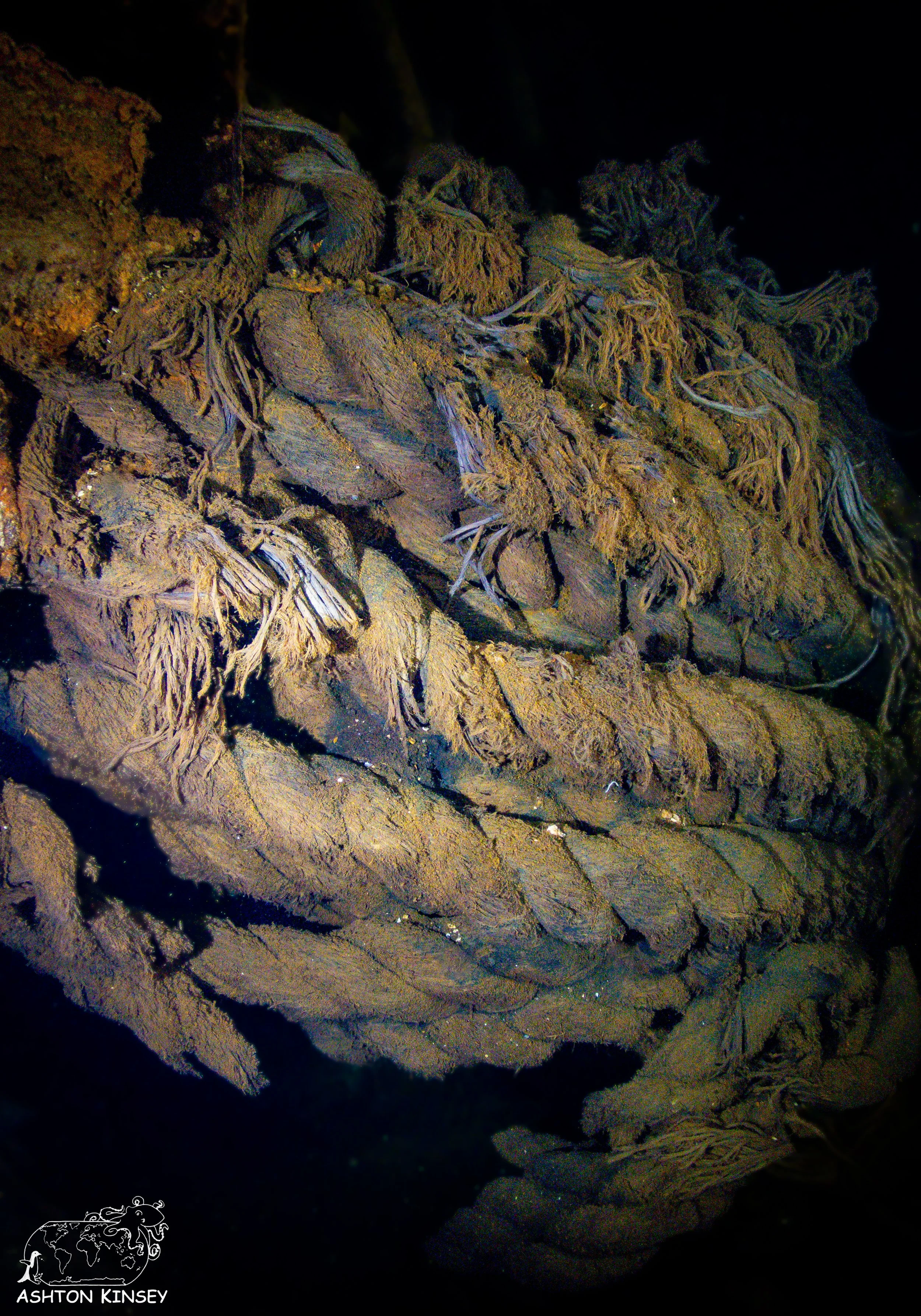 Fujikawa Maru-43.jpg