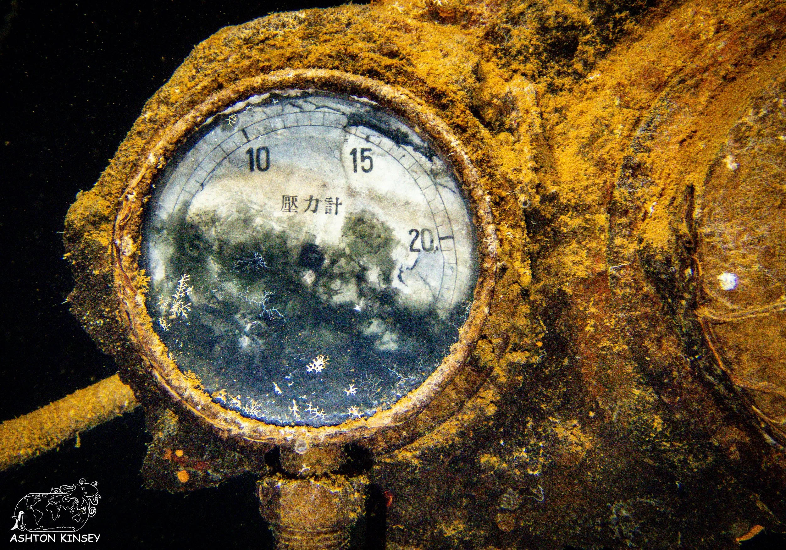 Fujikawa Maru-44.jpg