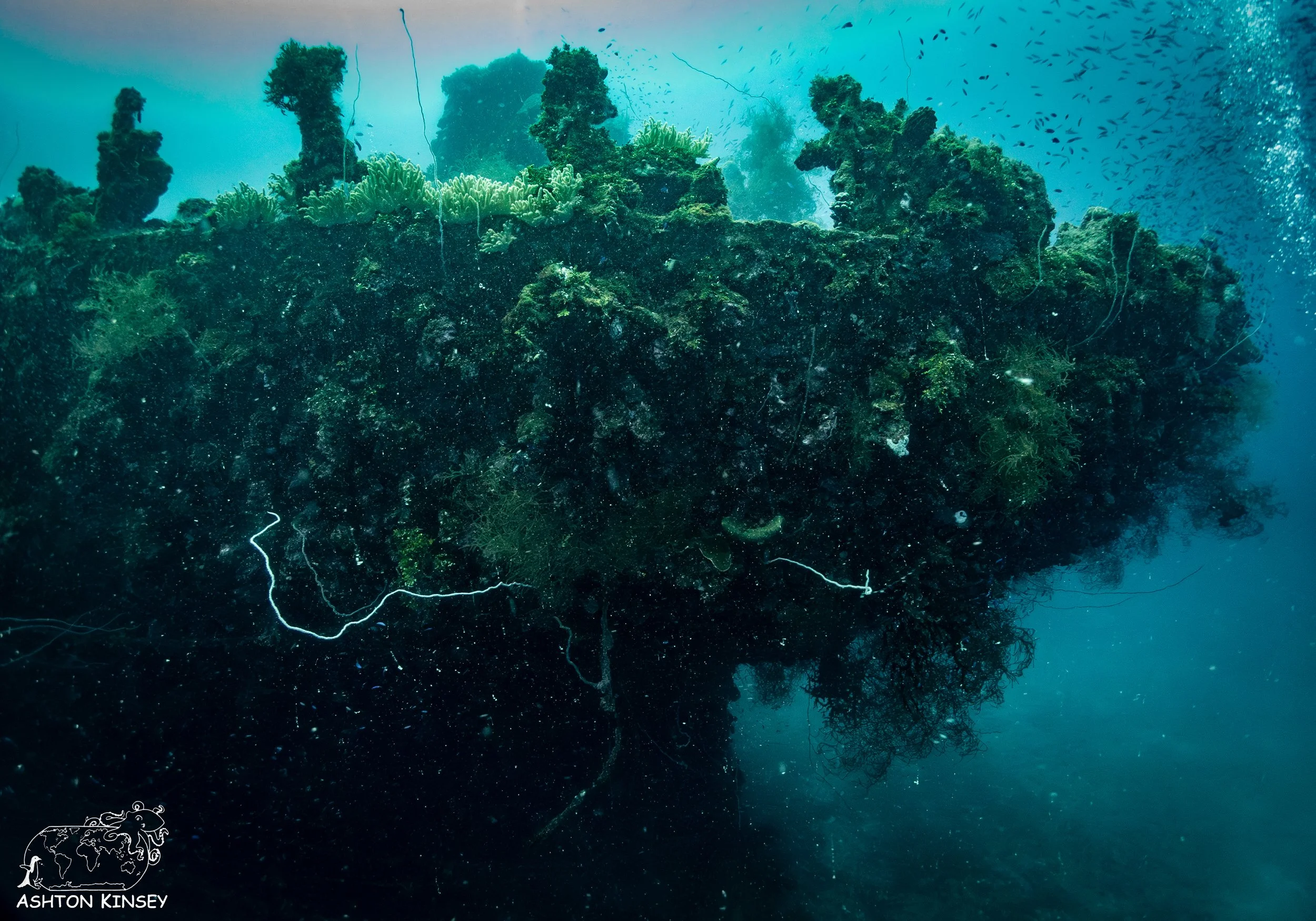 Fujikawa Maru-46.jpg