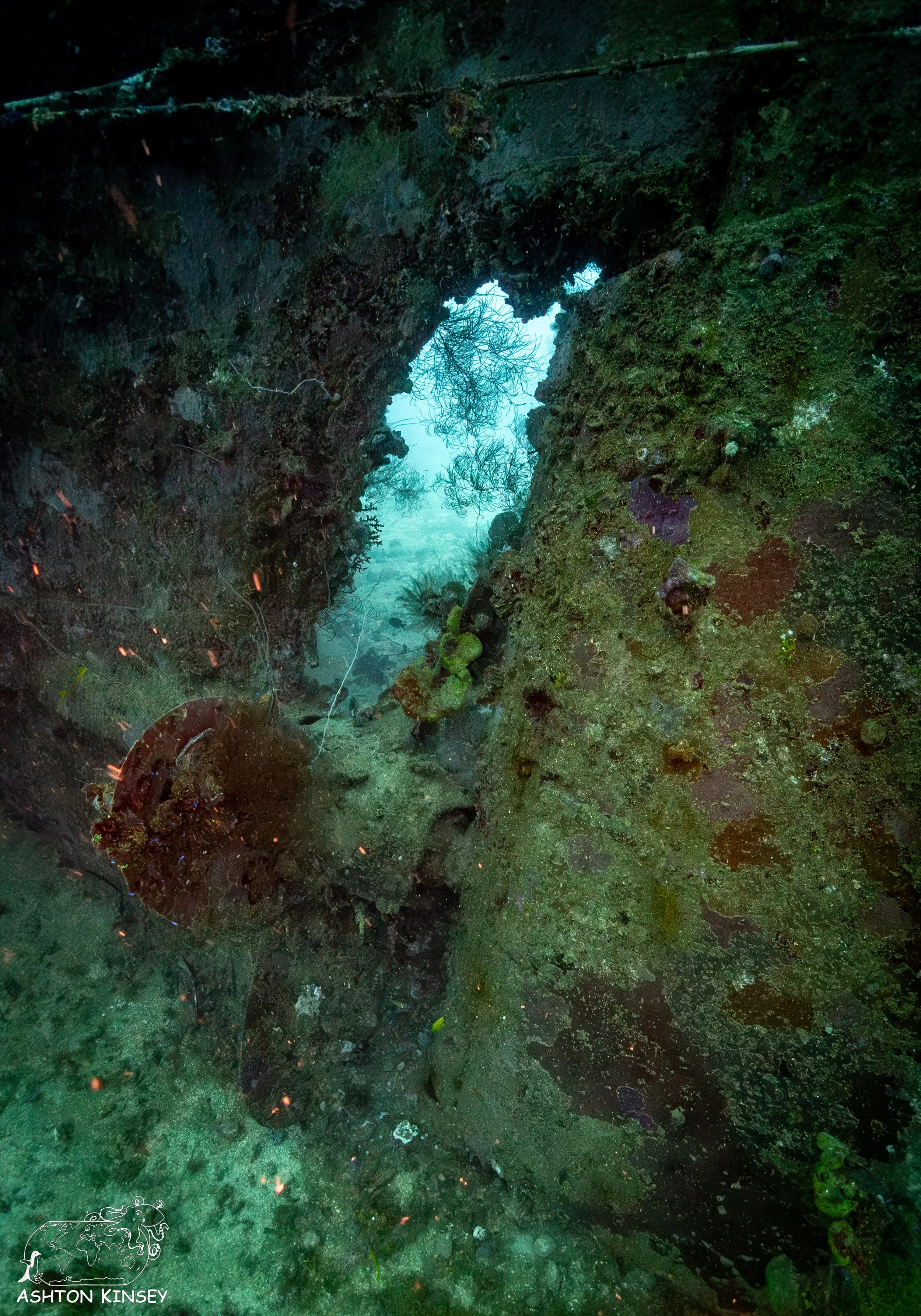 Fujikawa Maru-47.jpg