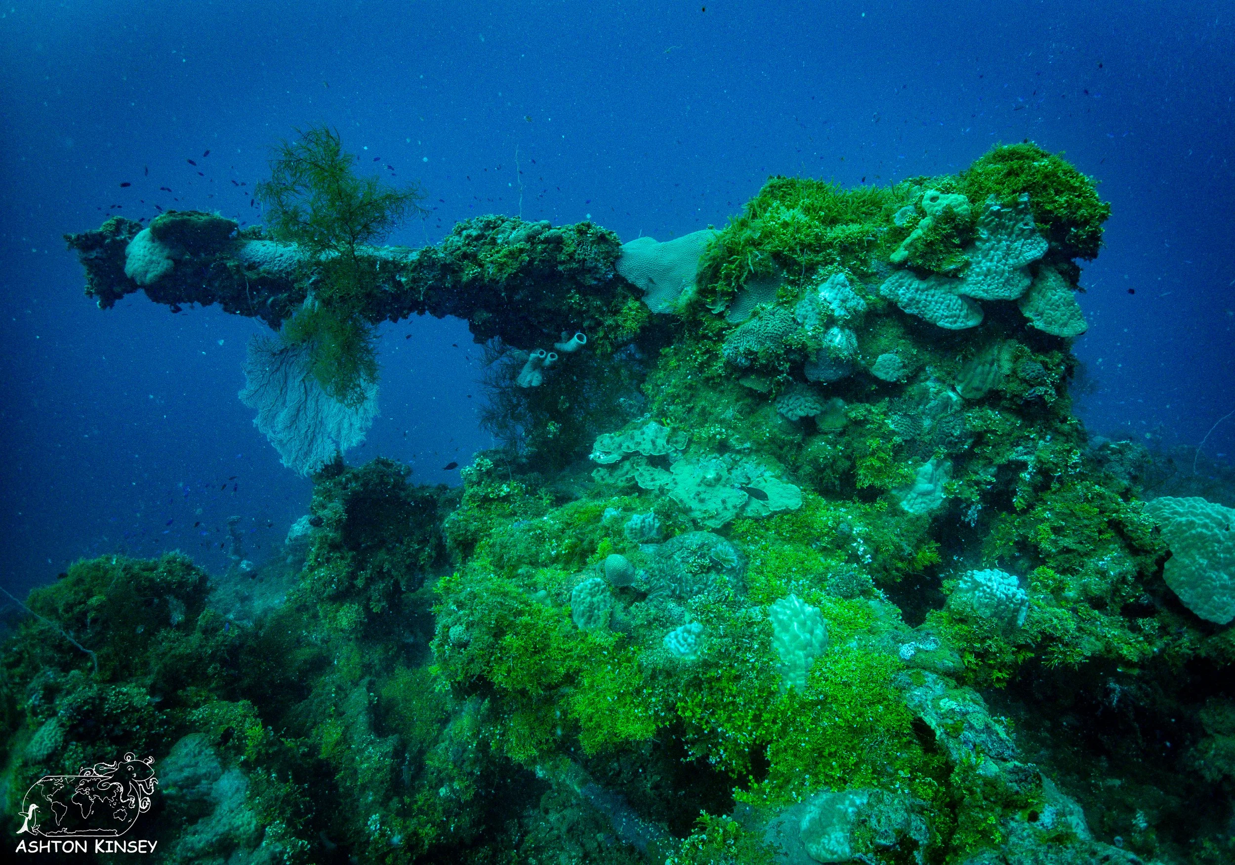Fujikawa Maru-48.jpg