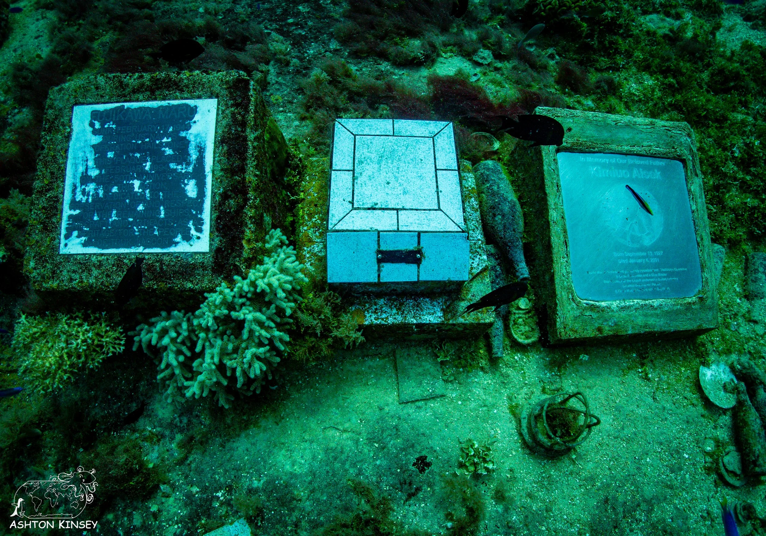 Fujikawa Maru-51.jpg