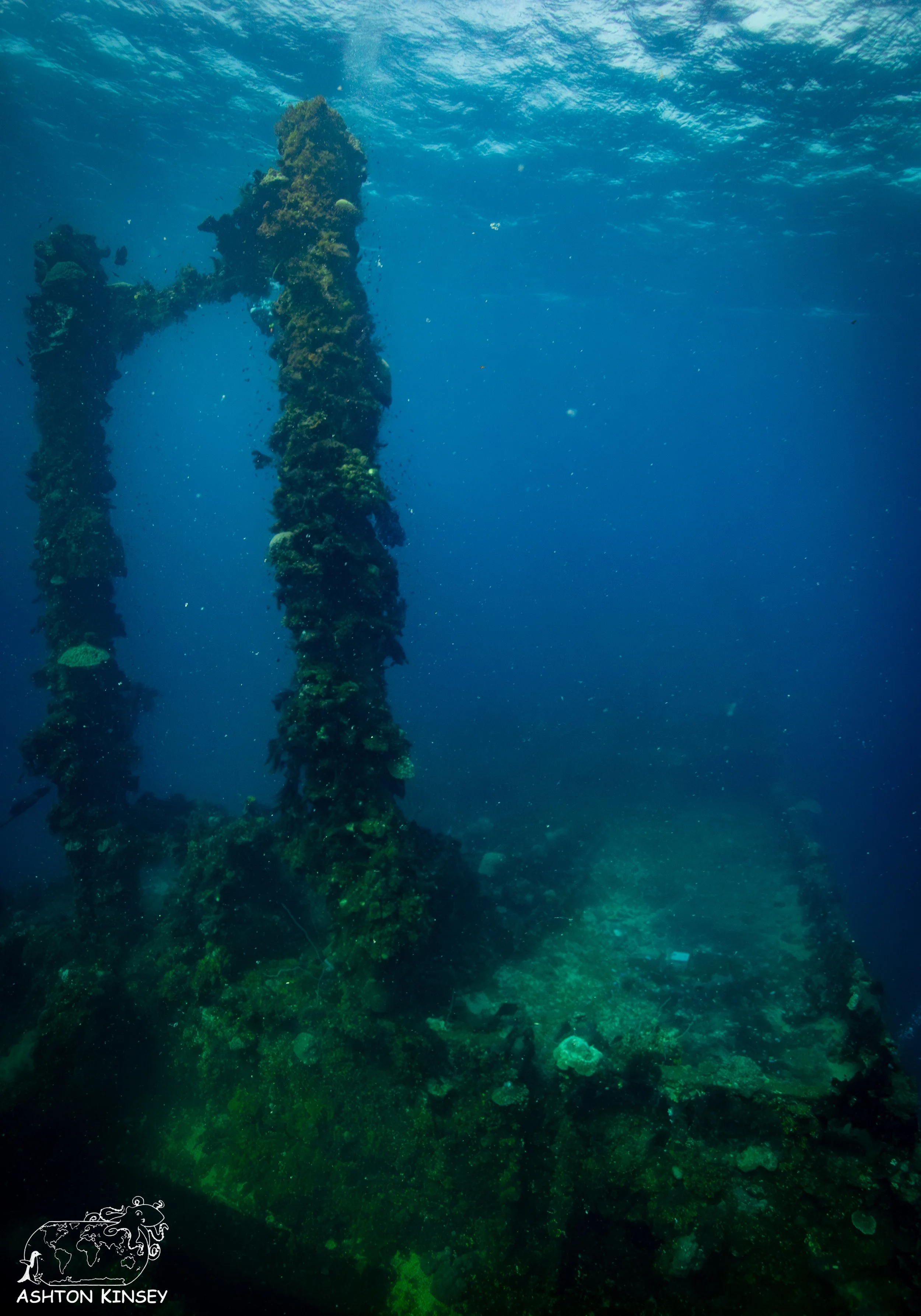 Fujikawa Maru-54.jpg