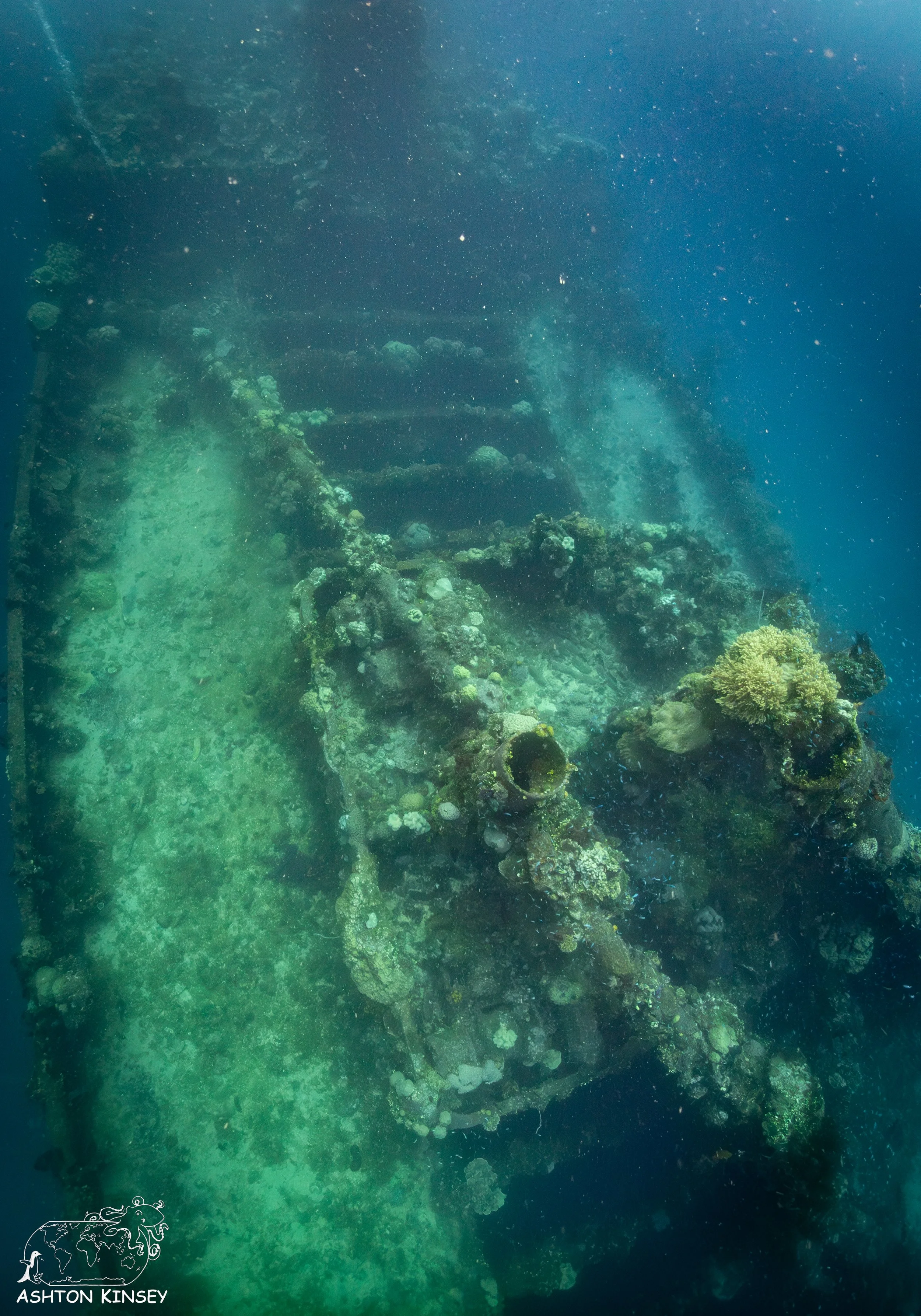 Fujikawa Maru-55.jpg