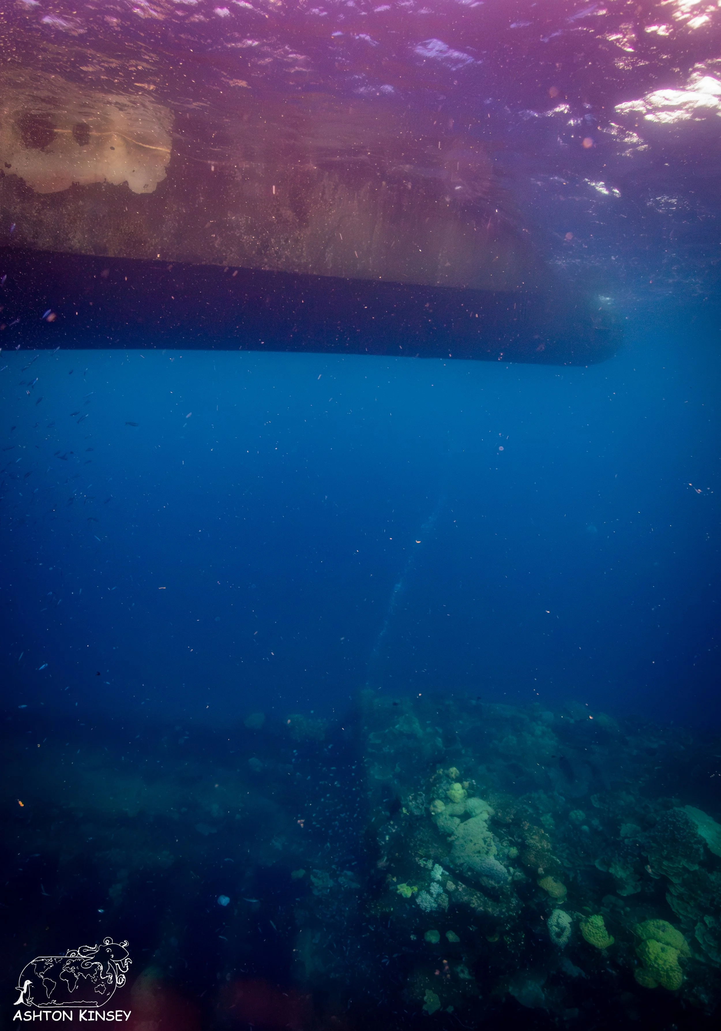 Fujikawa Maru-56.jpg