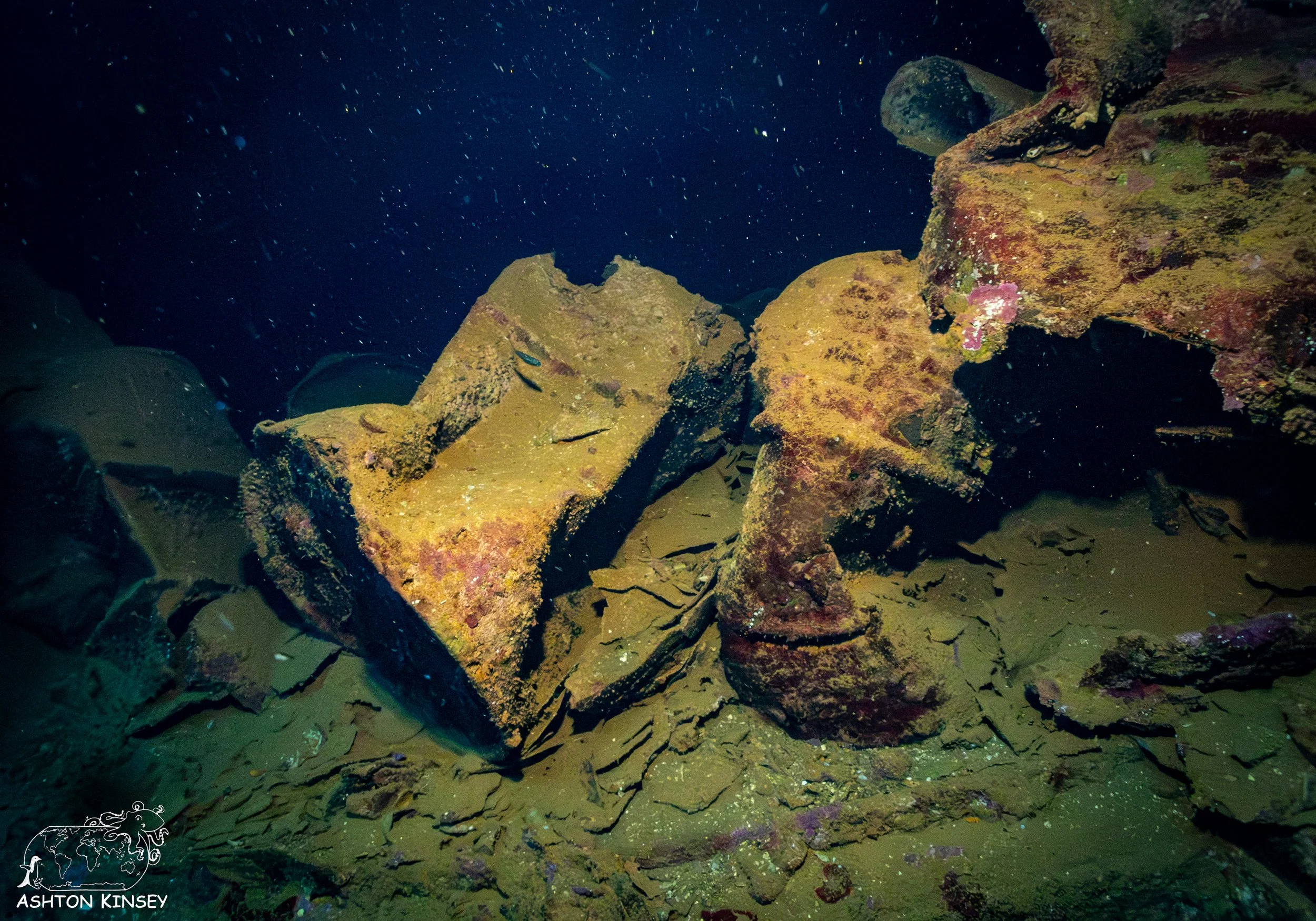 Fujikawa Maru-61.jpg