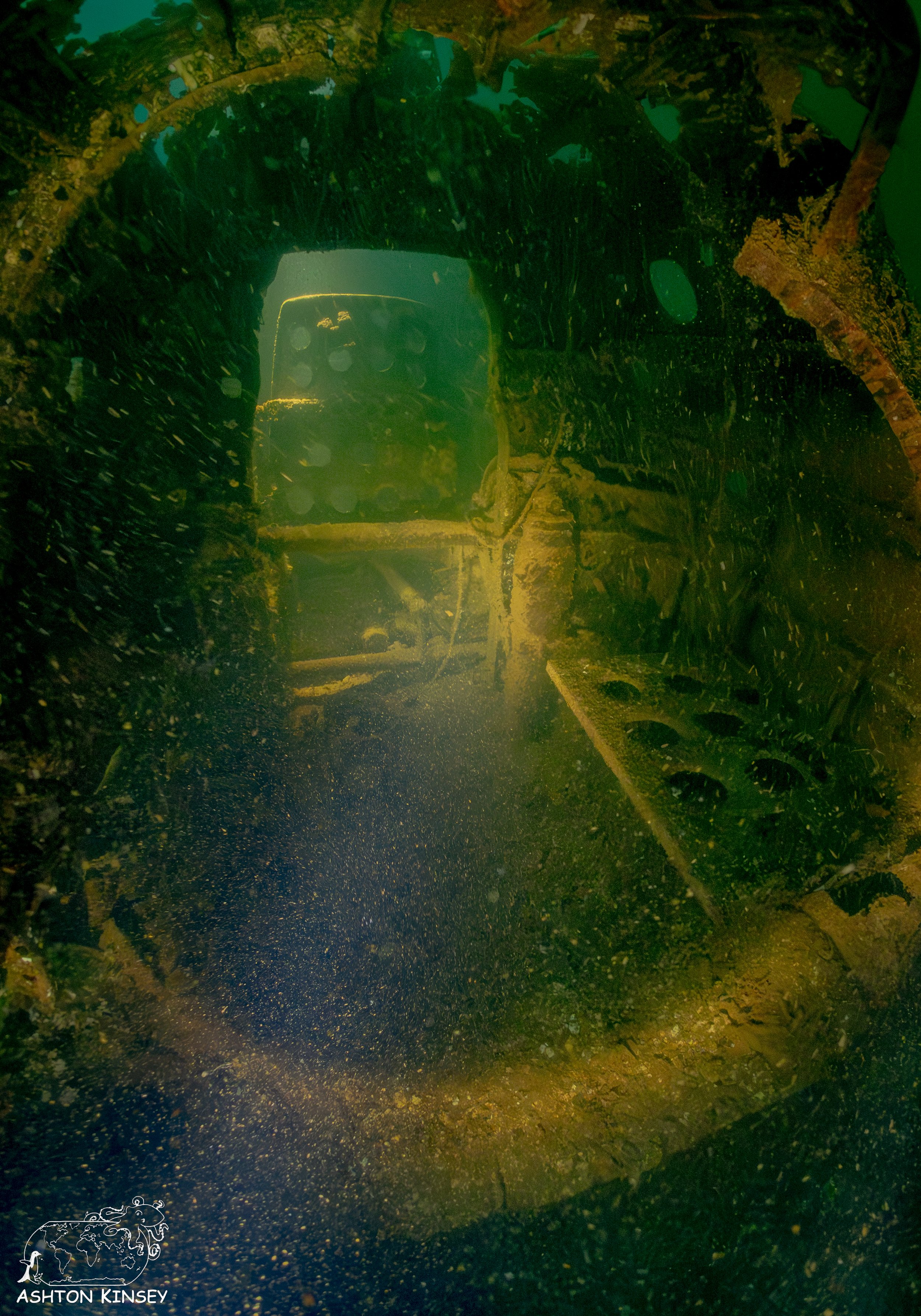 Fujikawa Maru-70.jpg