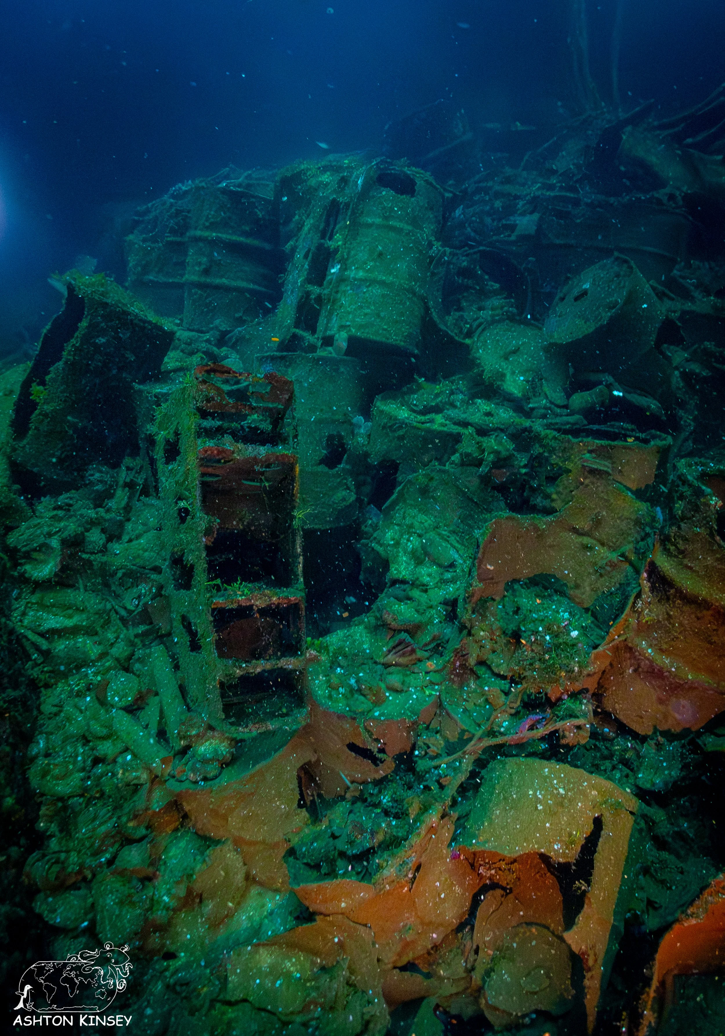 Fujikawa Maru-75.jpg