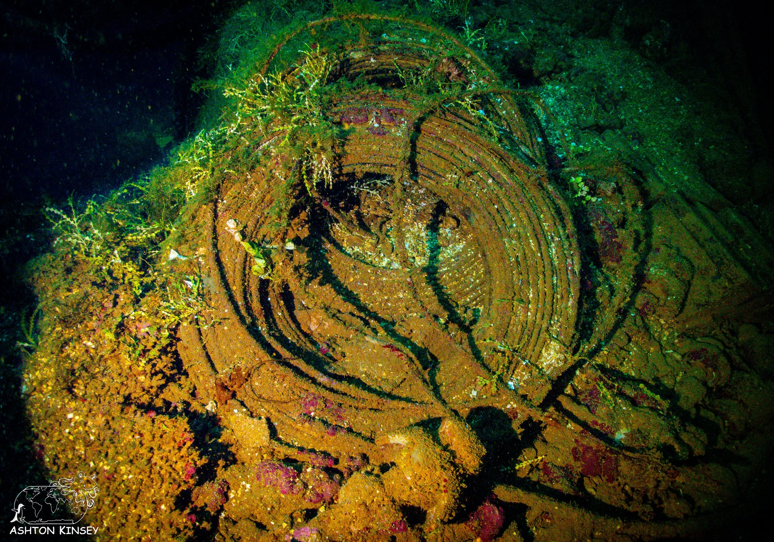 Fujikawa Maru-73.jpg