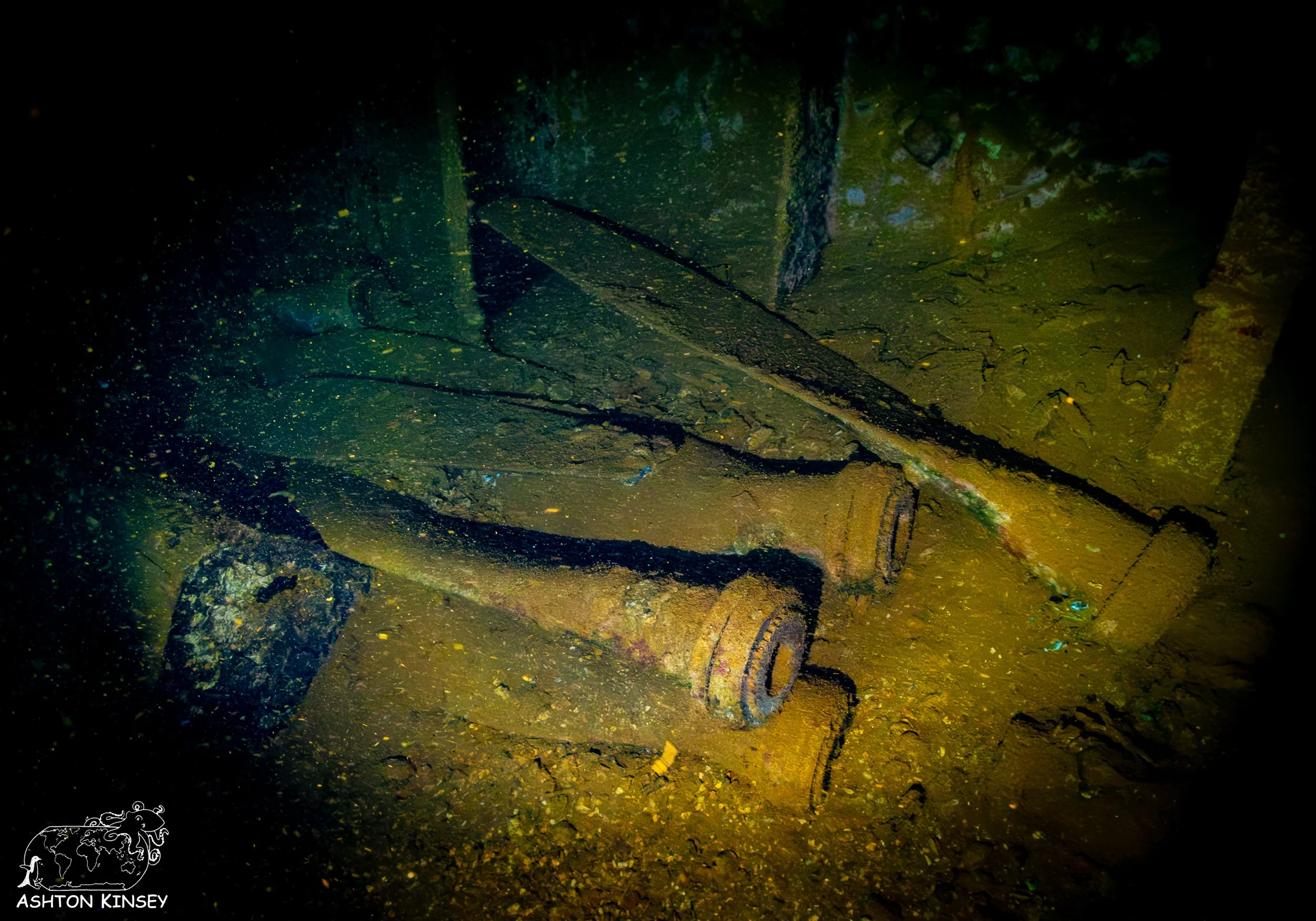Fujikawa Maru-82.jpg