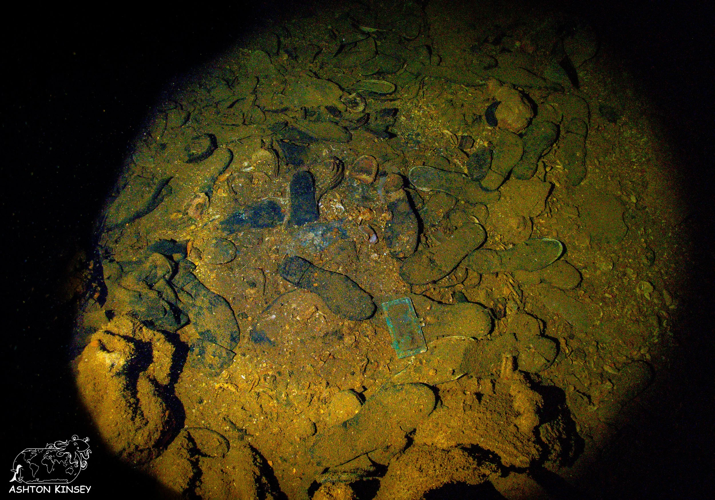 Fujikawa Maru-83.jpg