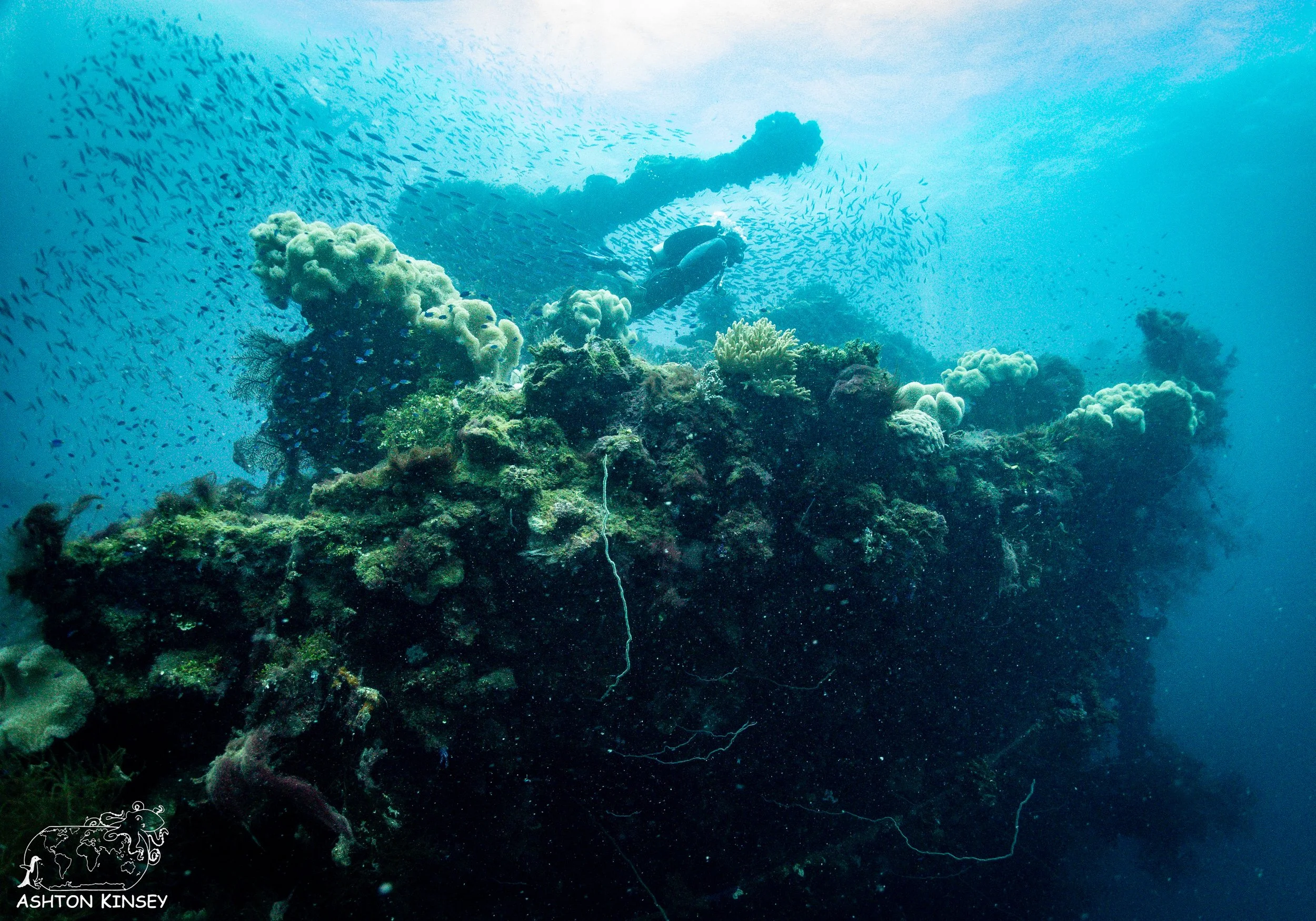 Fujikawa Maru-87.jpg