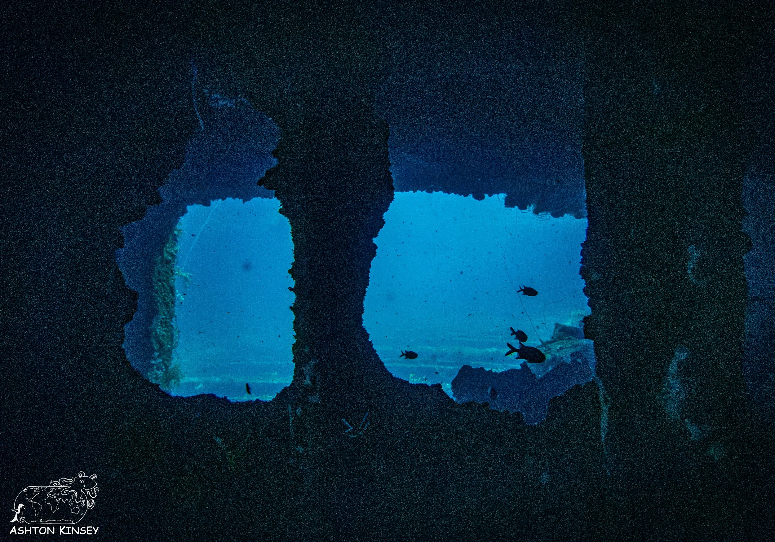 Fujikawa Maru-86.jpg