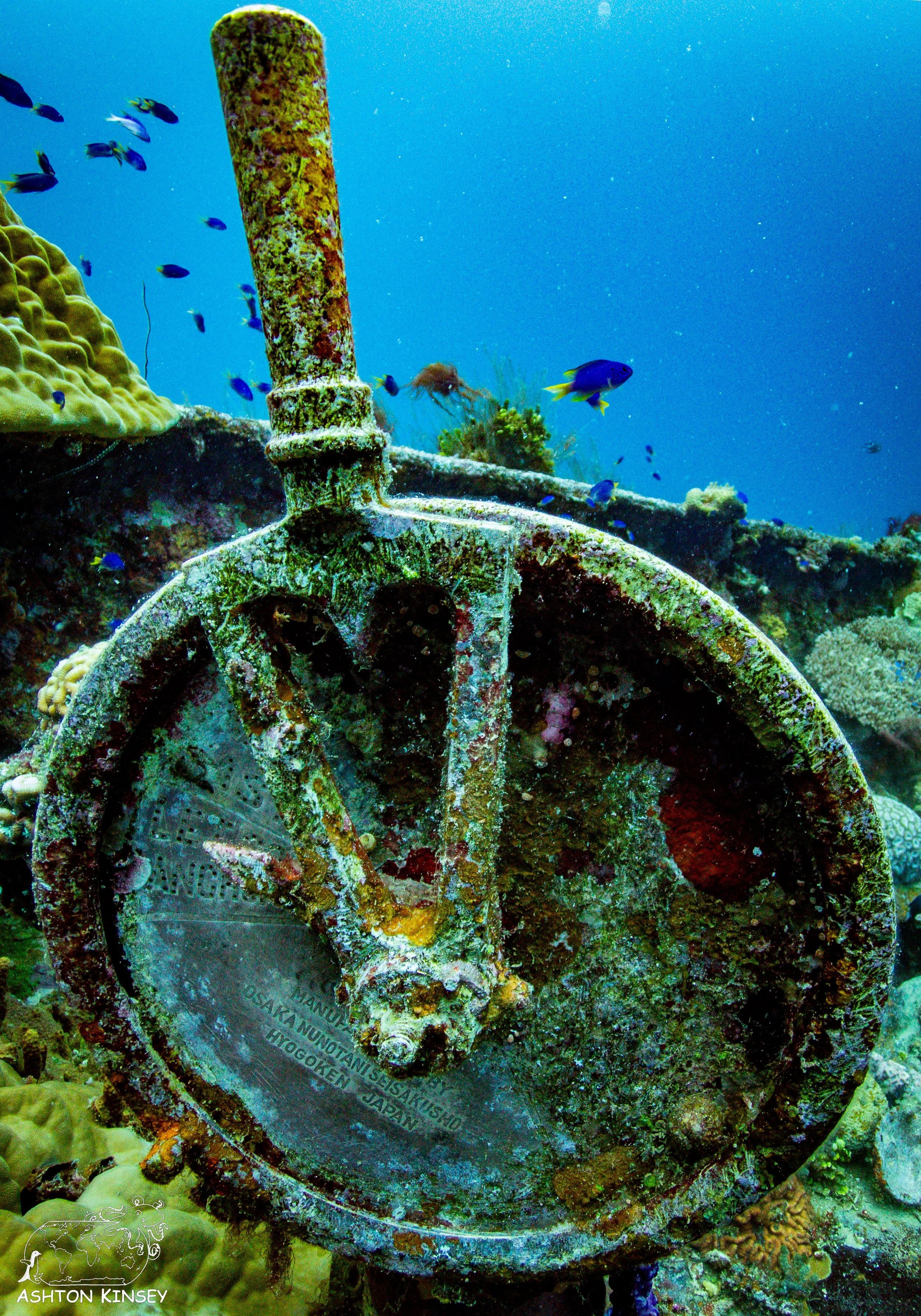 Fujikawa Maru-89.jpg