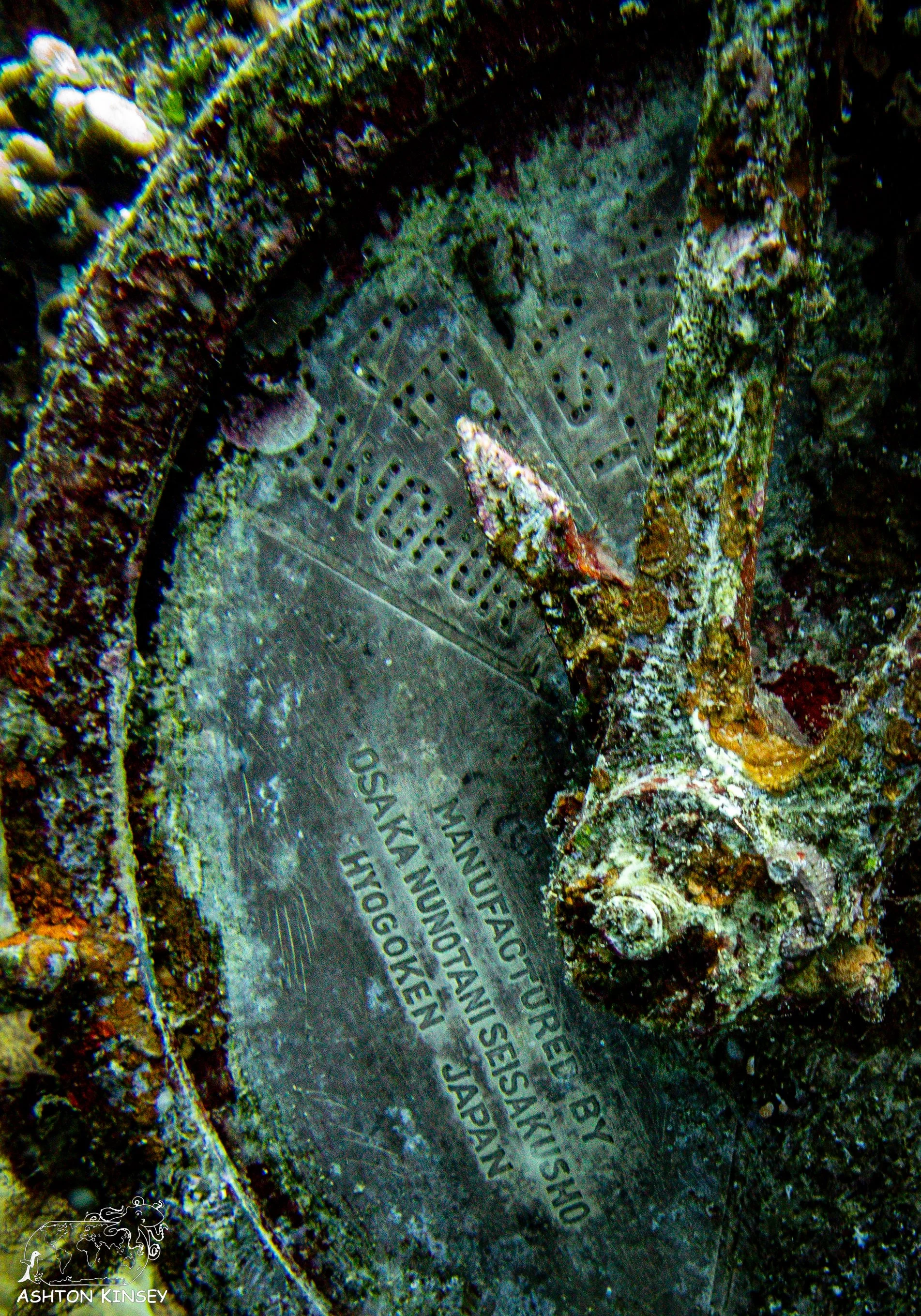 Fujikawa Maru-91.jpg