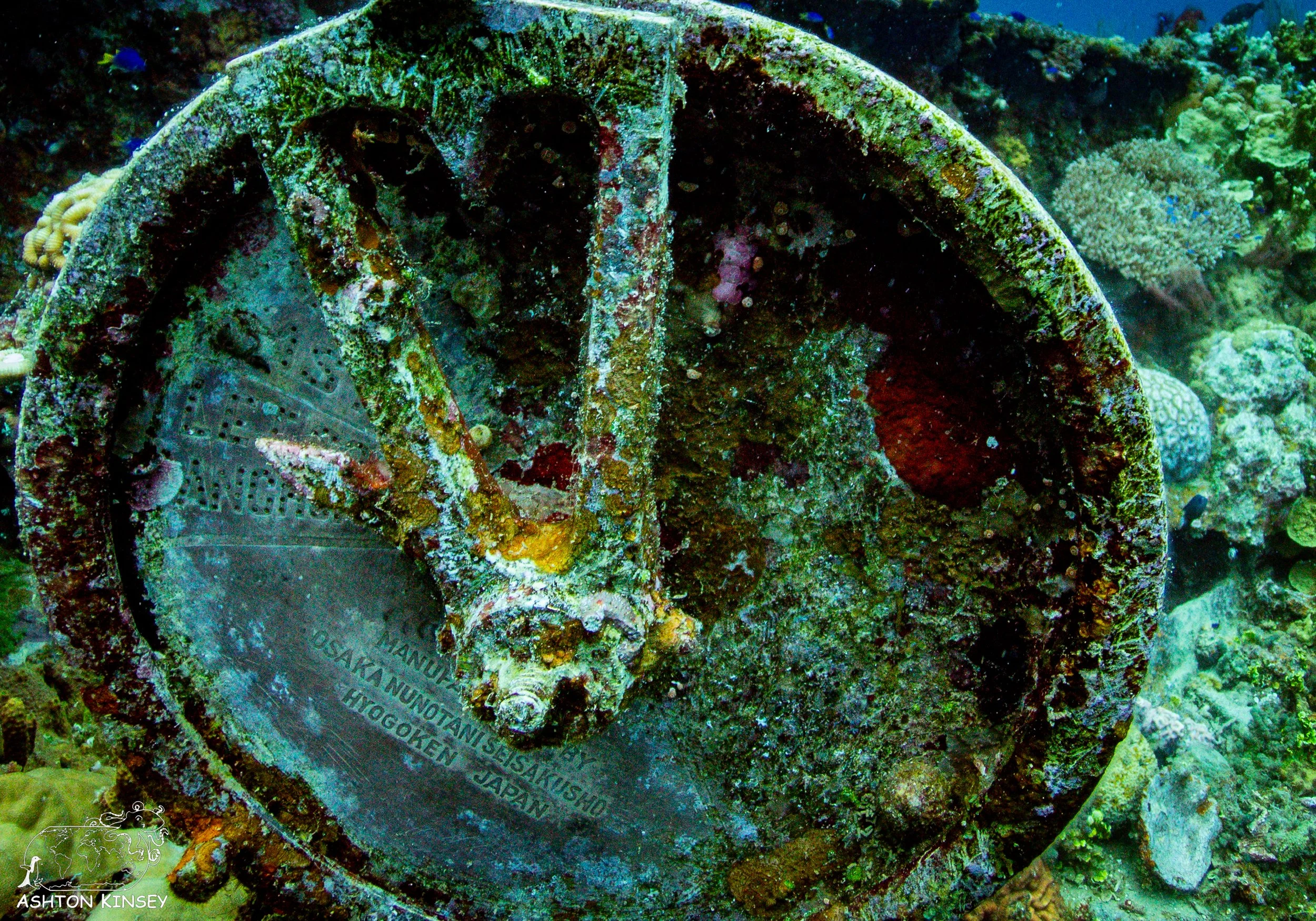 Fujikawa Maru-90.jpg