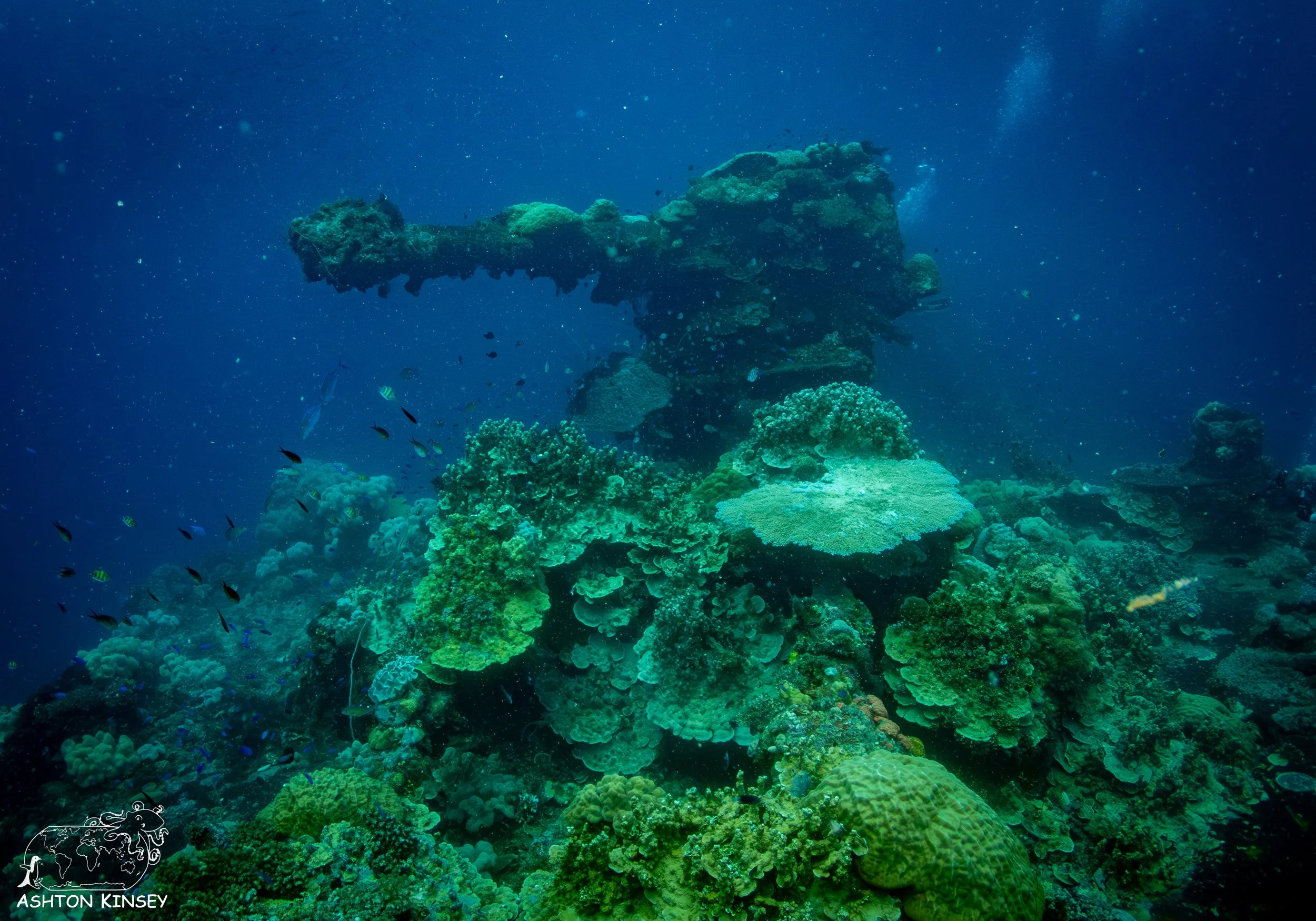 Fujikawa Maru-92.jpg