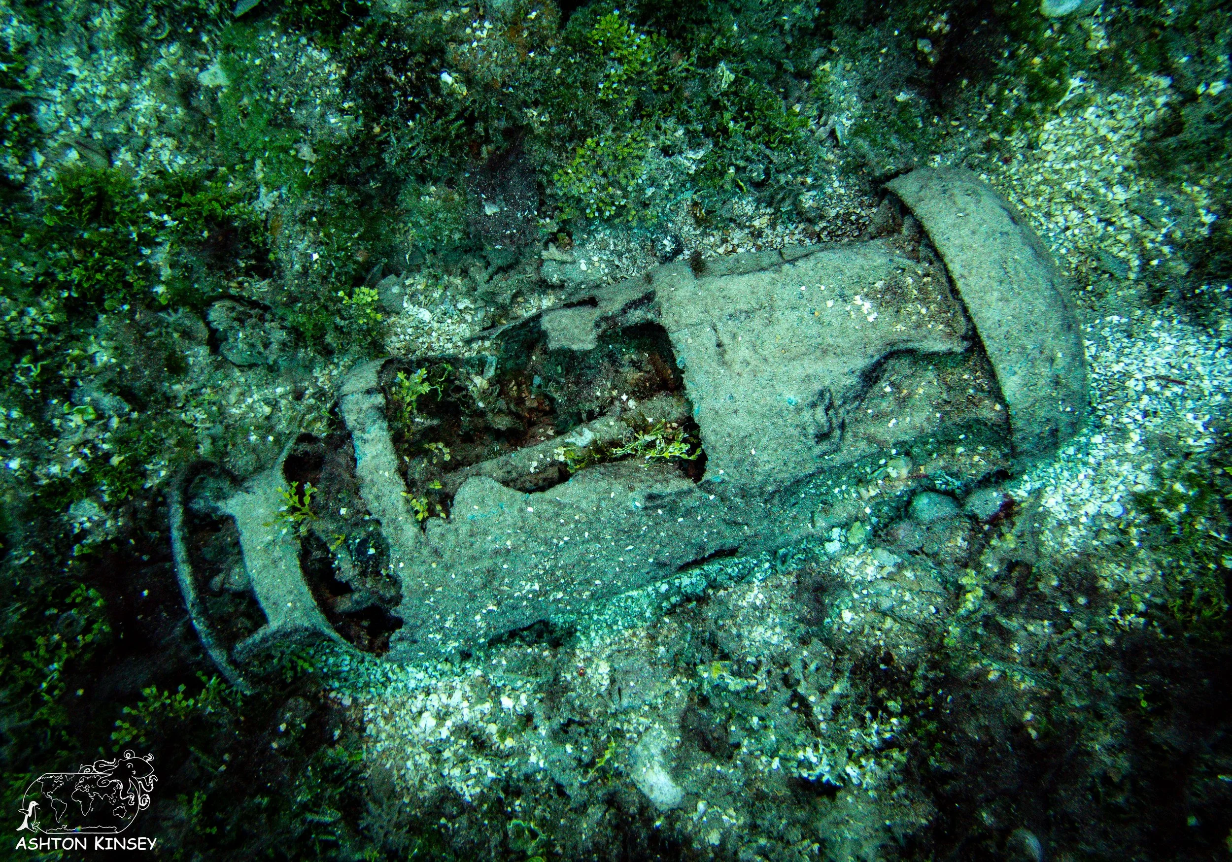 Fujikawa Maru-59.jpg