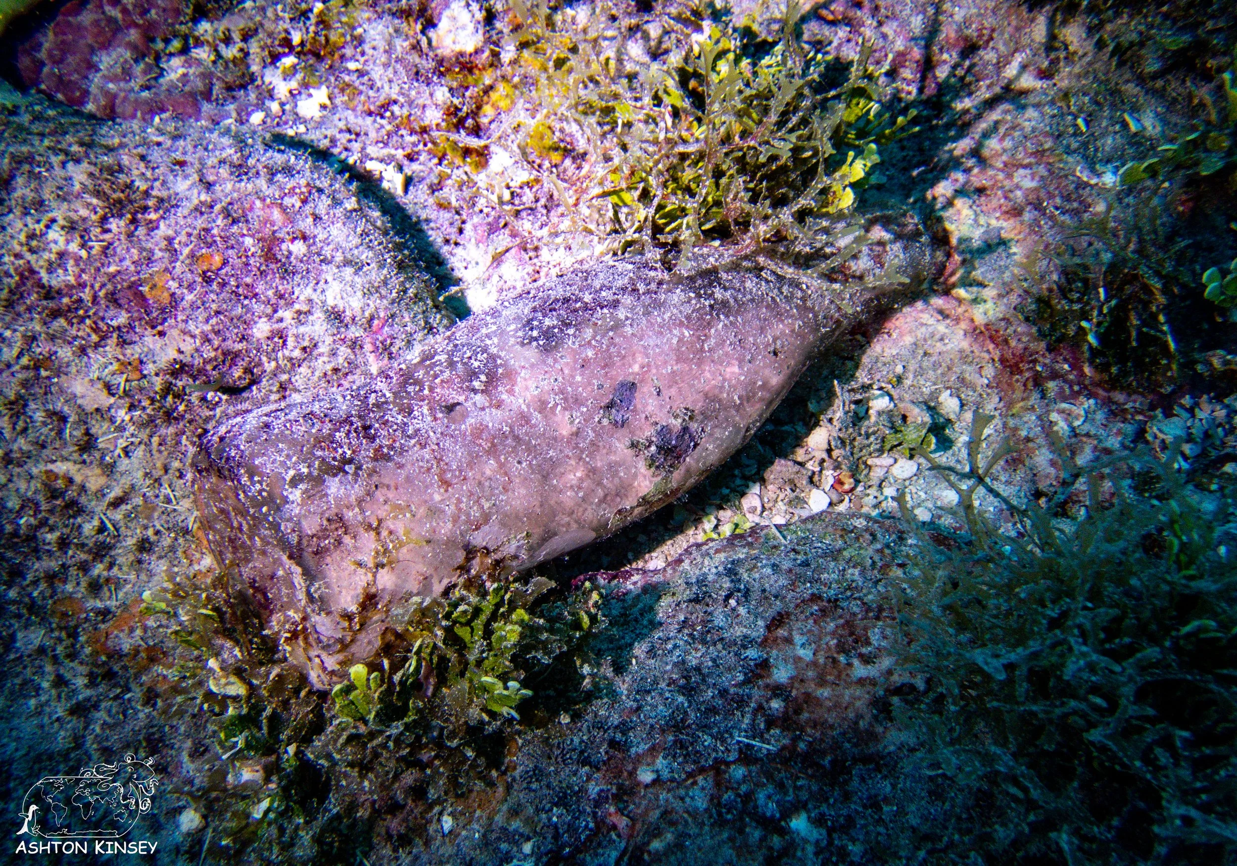 Betty Bomber-46.jpg