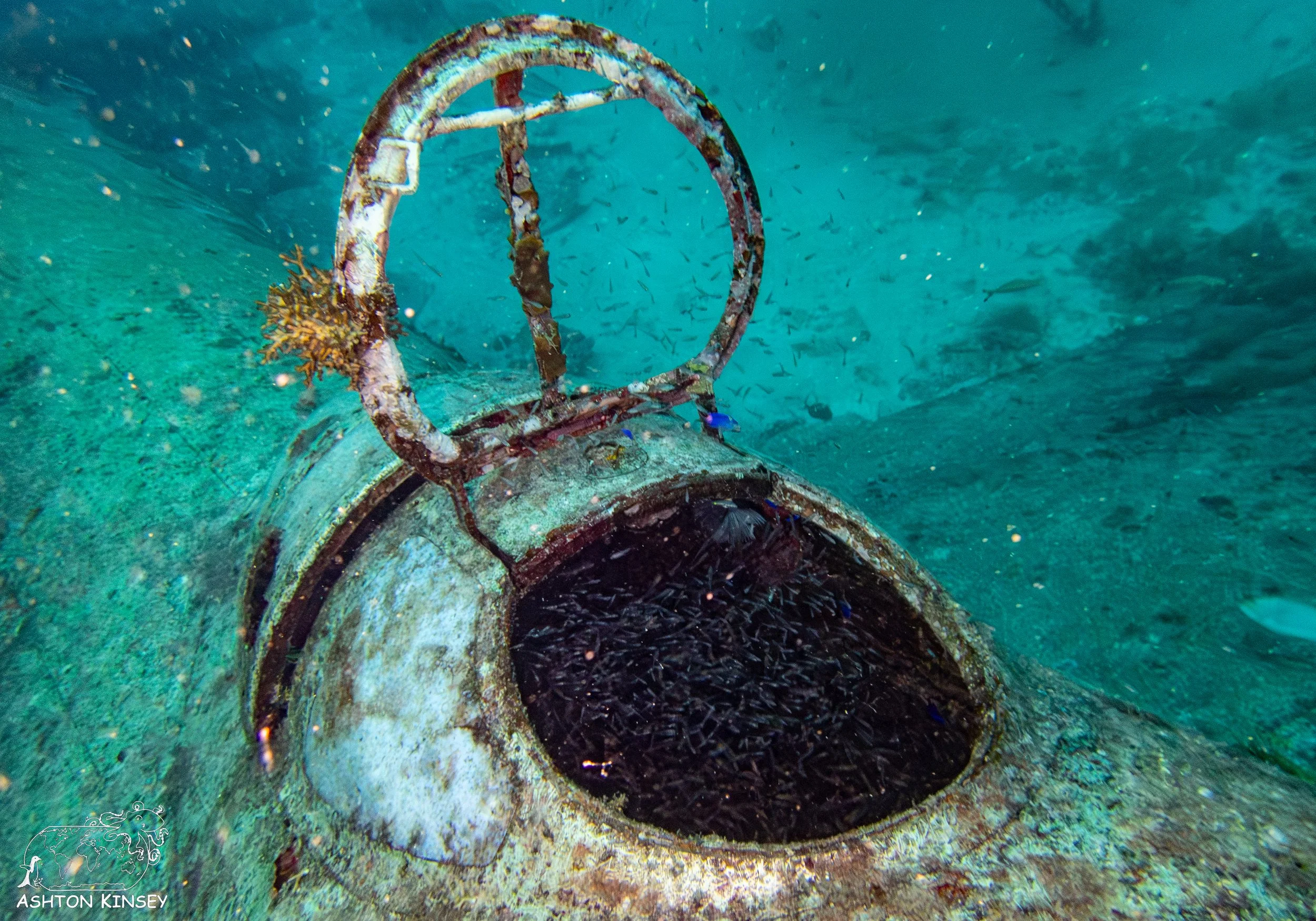 Betty Bomber-47.jpg