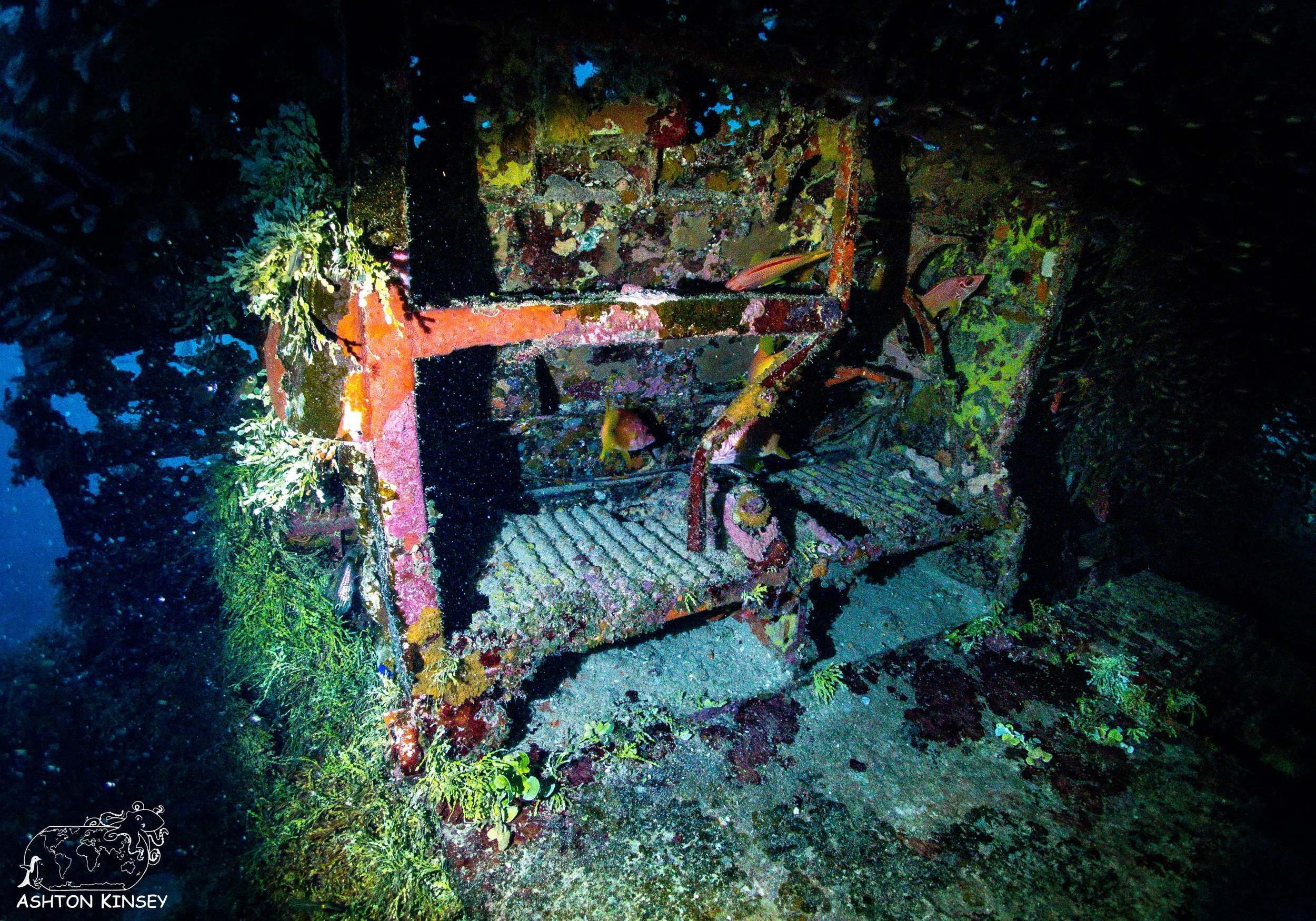 Betty Bomber-49.jpg
