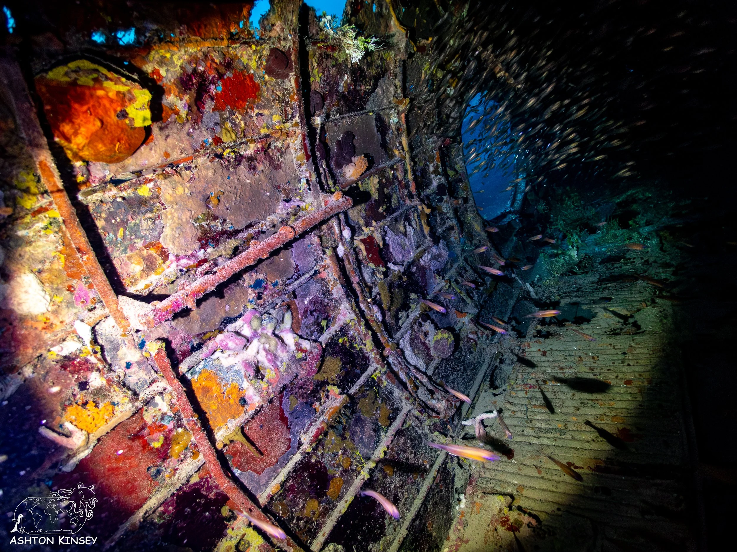 Betty Bomber-50.jpg