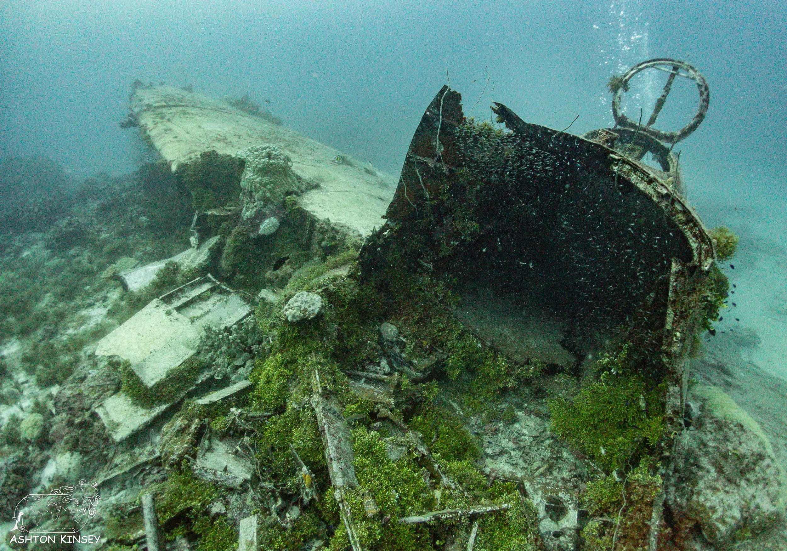 Betty Bomber-2.jpg