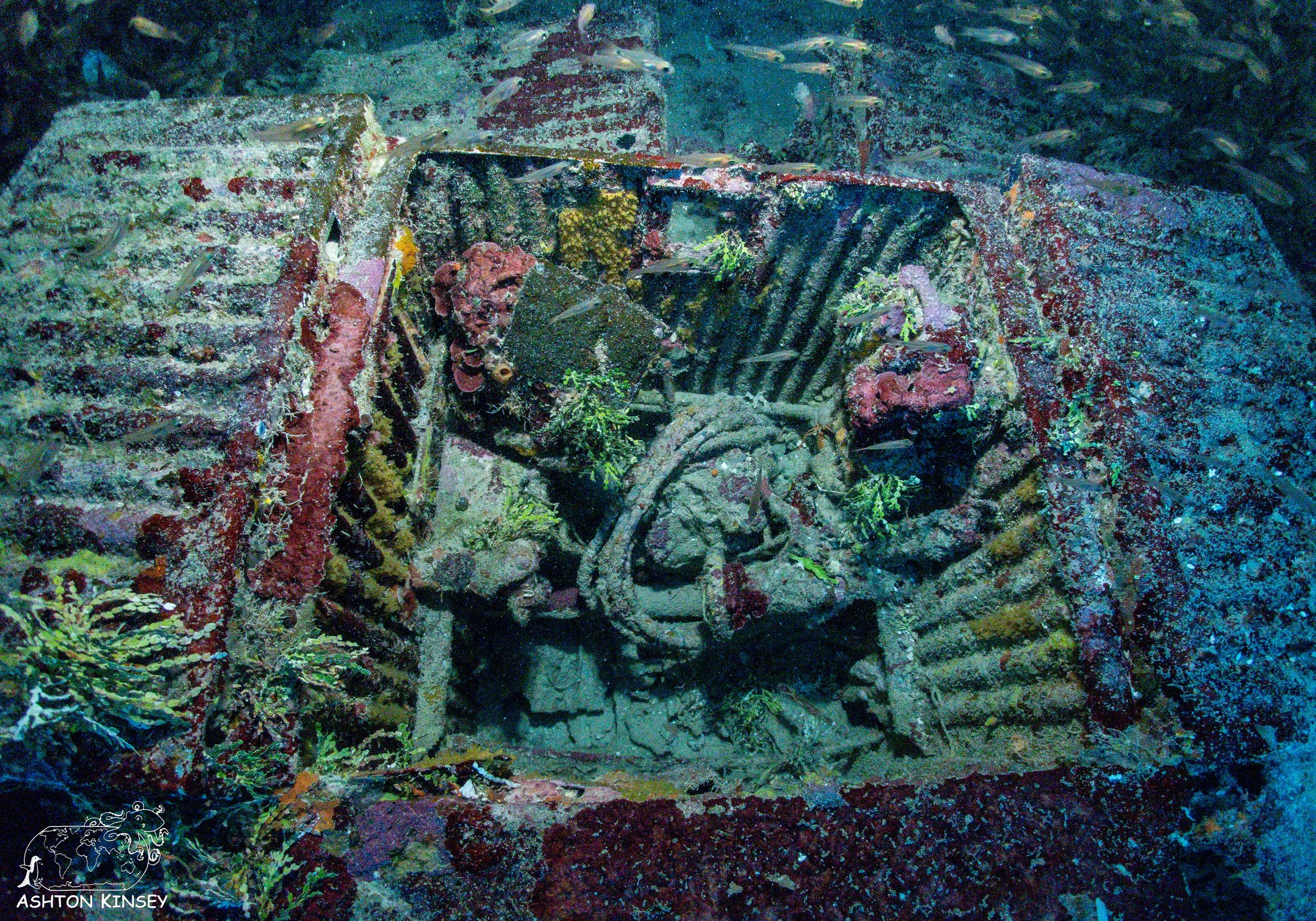 Betty Bomber-5.jpg