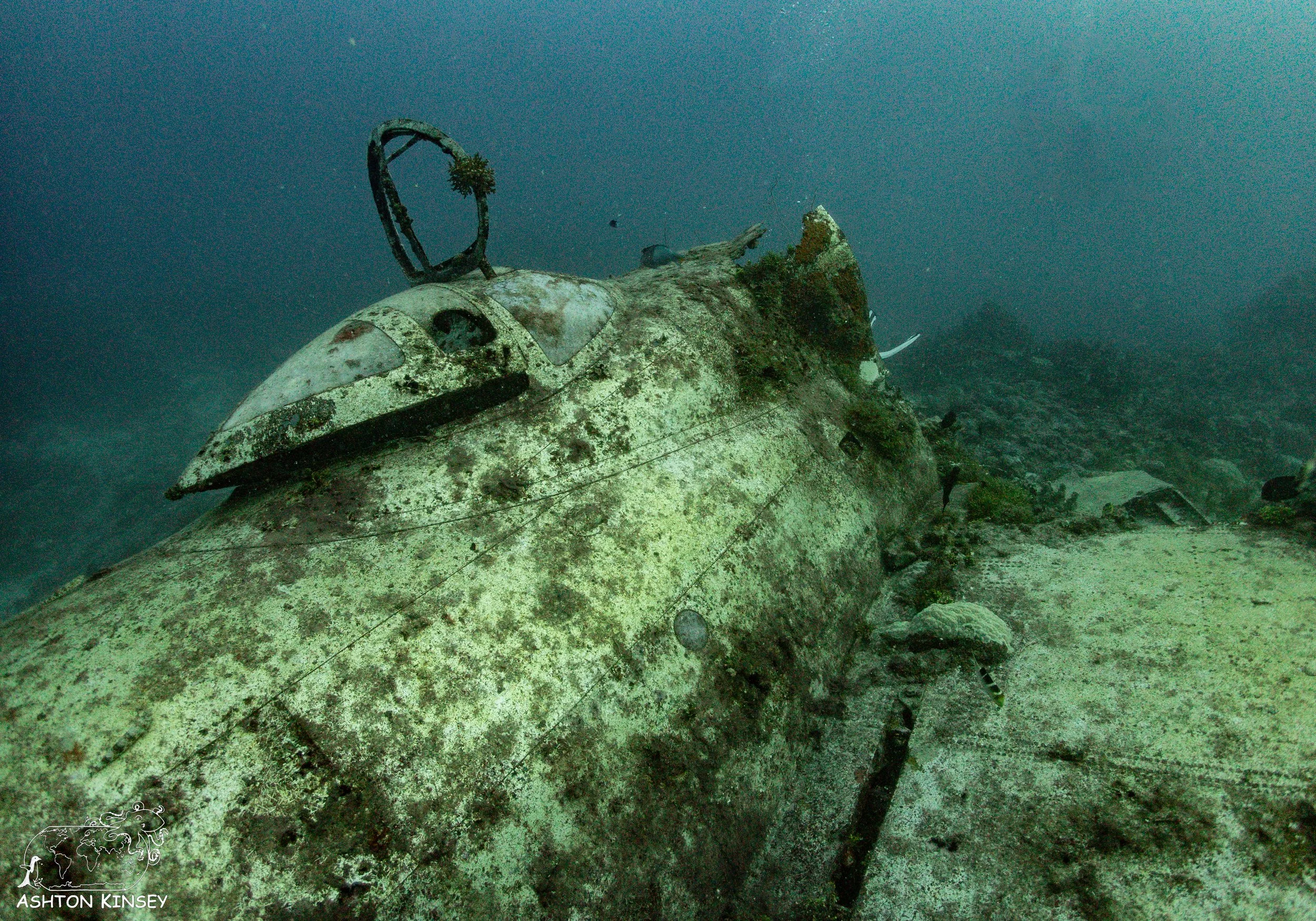 Betty Bomber-9.jpg
