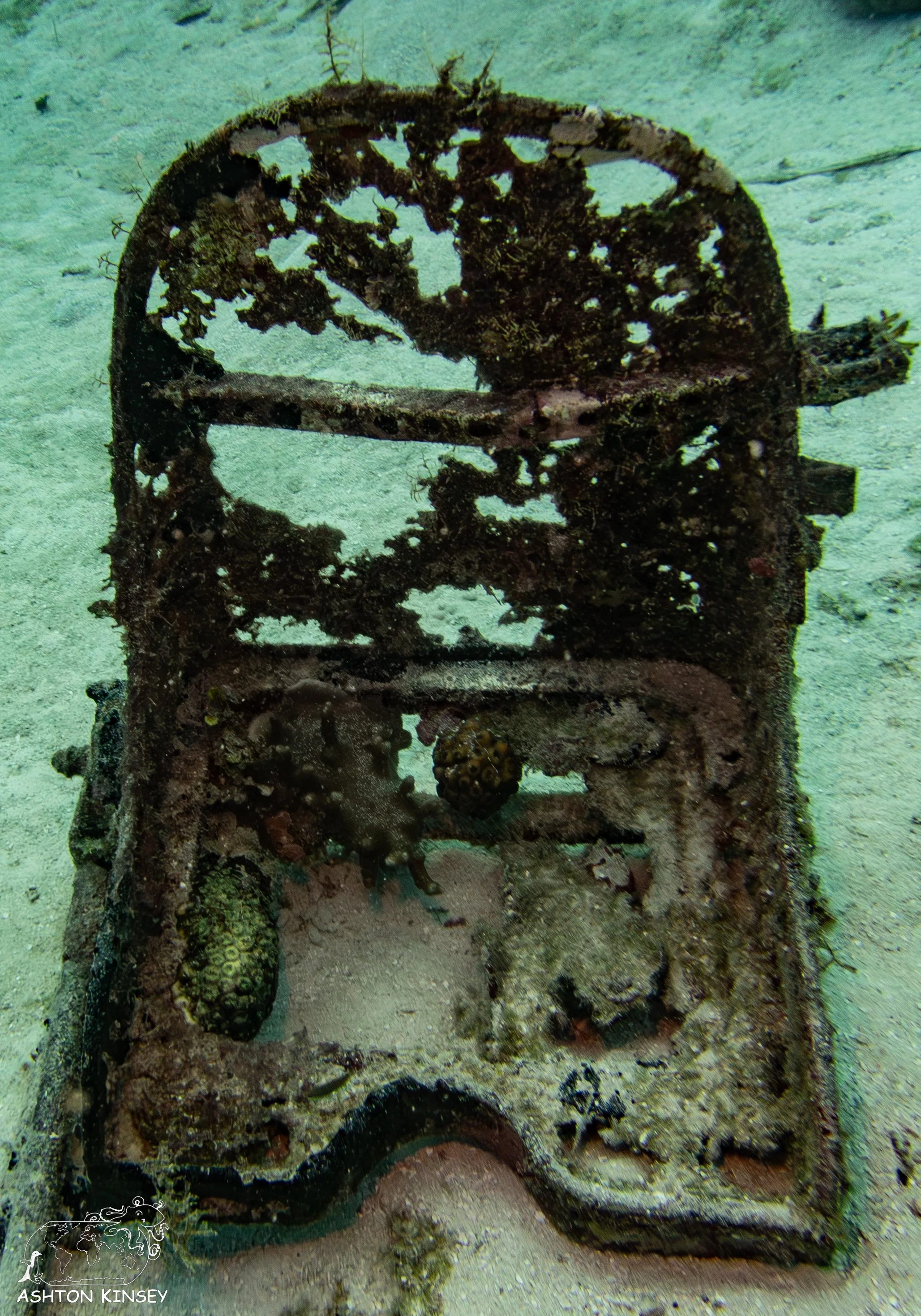 Betty Bomber-12.jpg