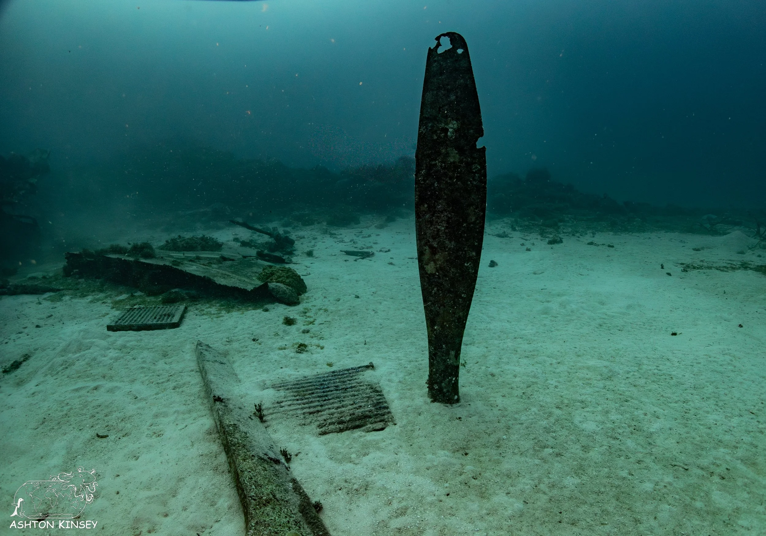 Betty Bomber-14.jpg