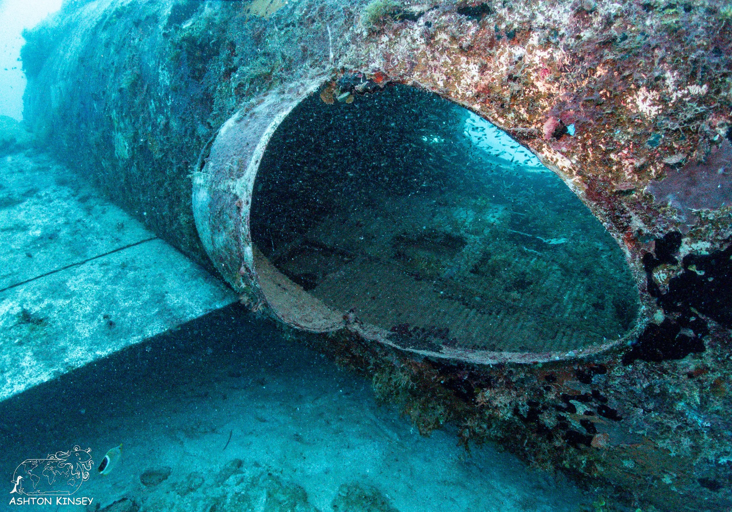 Betty Bomber-13.jpg