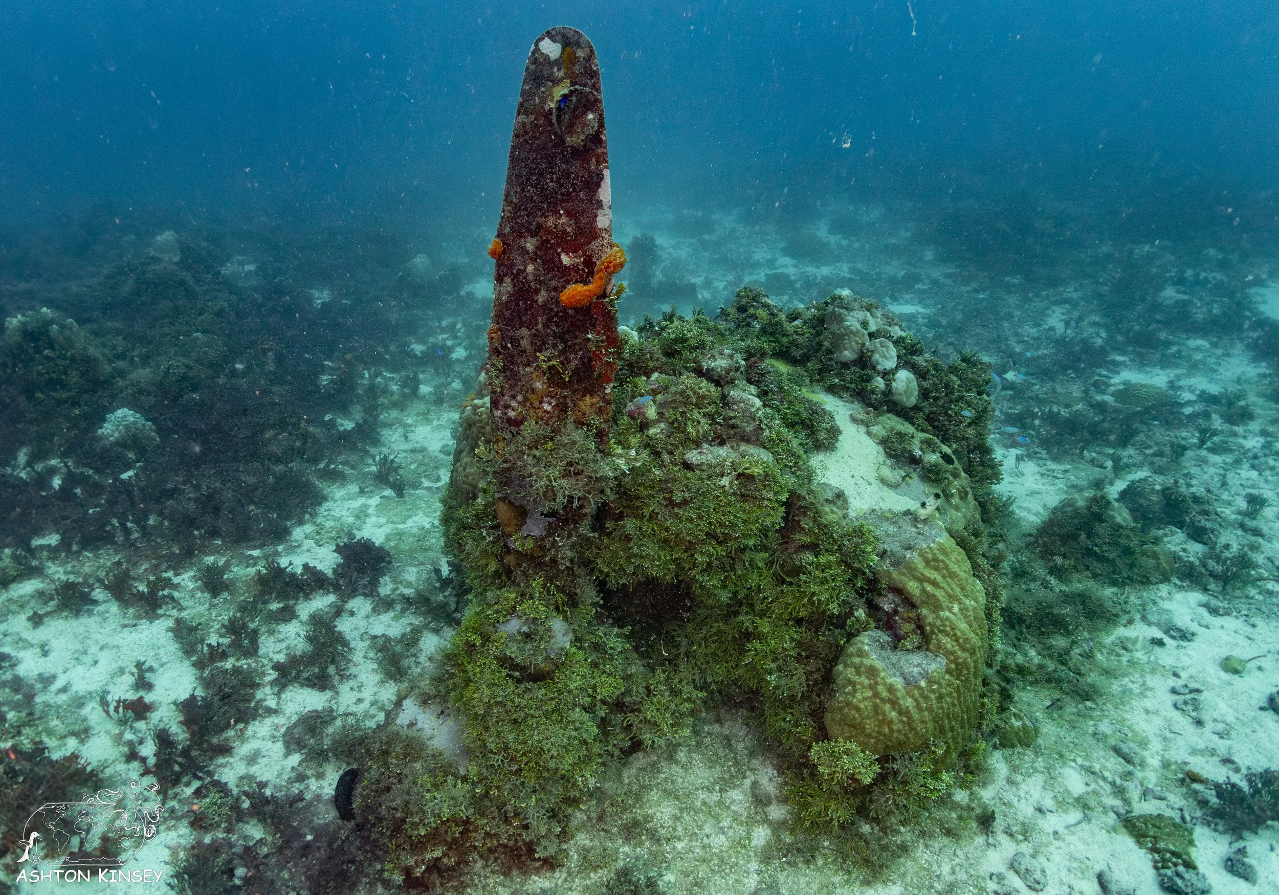 Betty Bomber-16.jpg