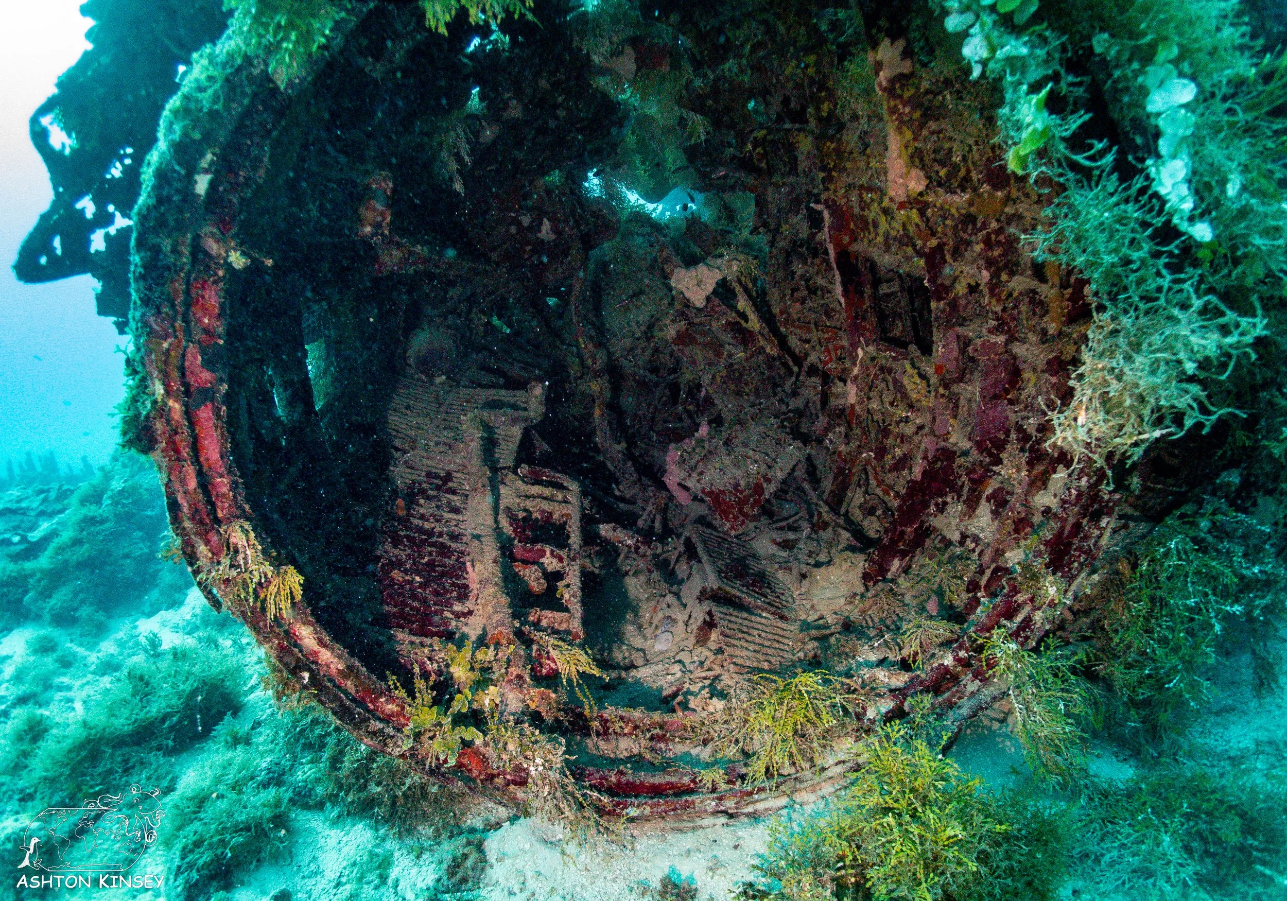 Betty Bomber-23.jpg