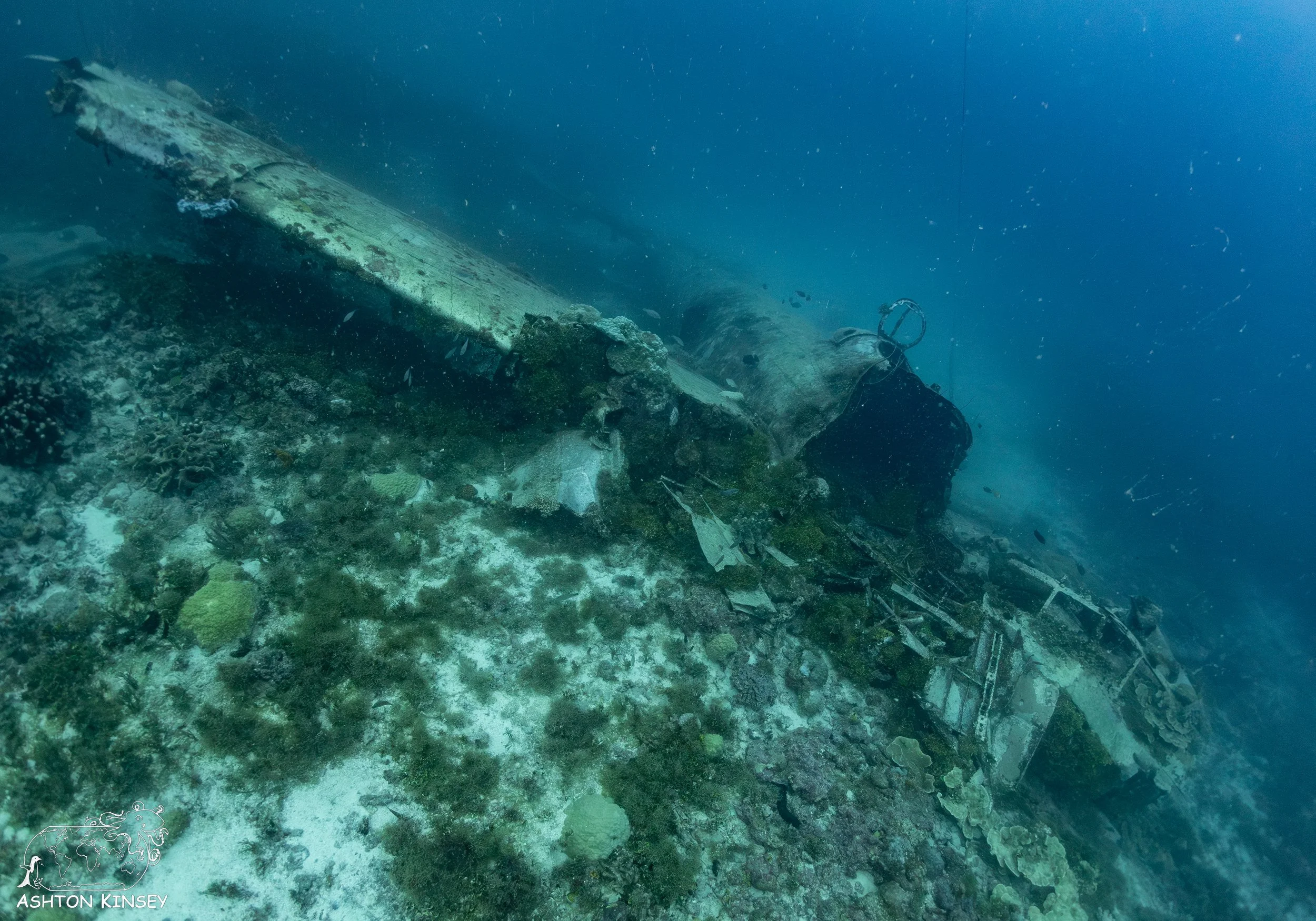 Betty Bomber-25.jpg