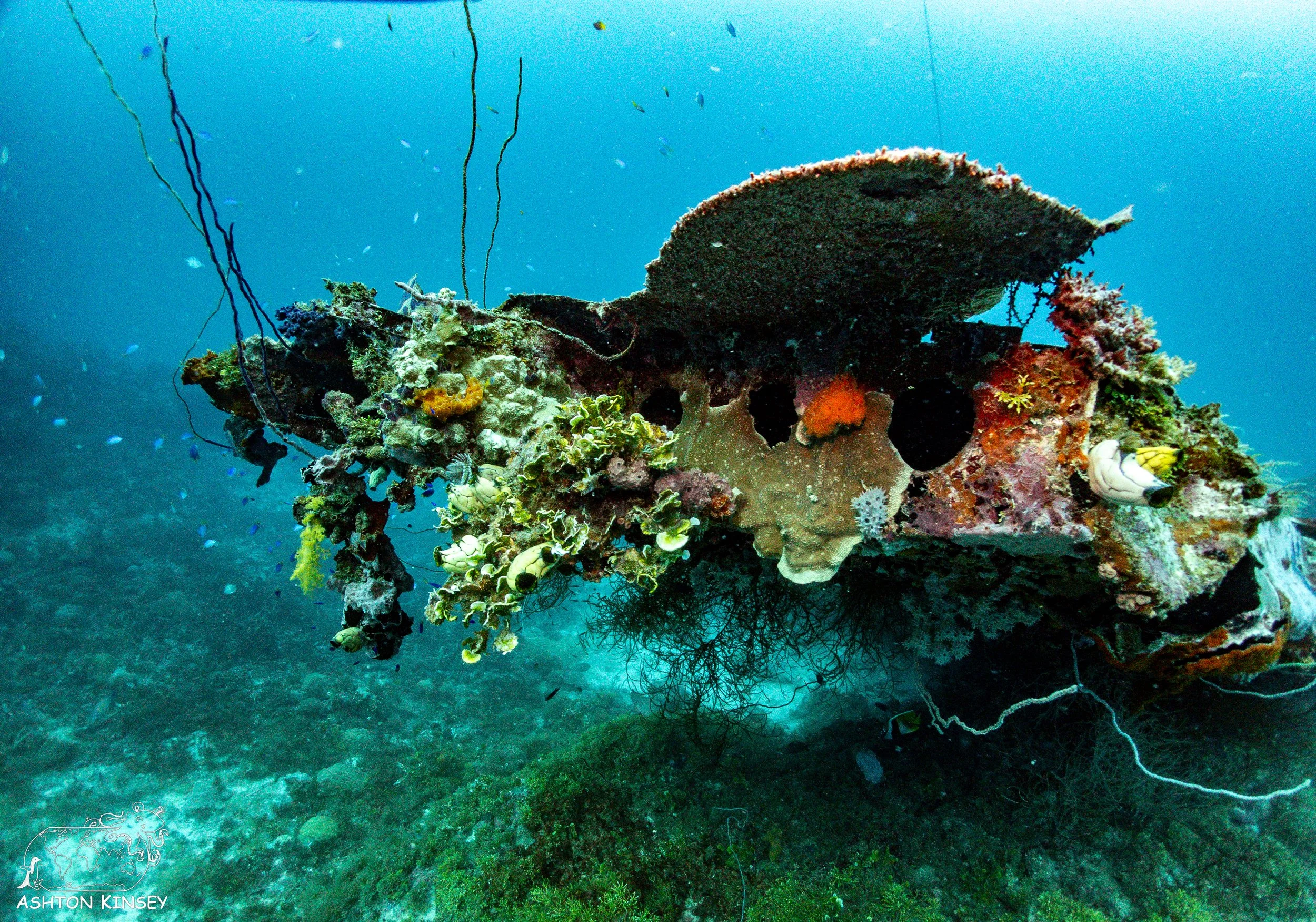 Betty Bomber-26.jpg